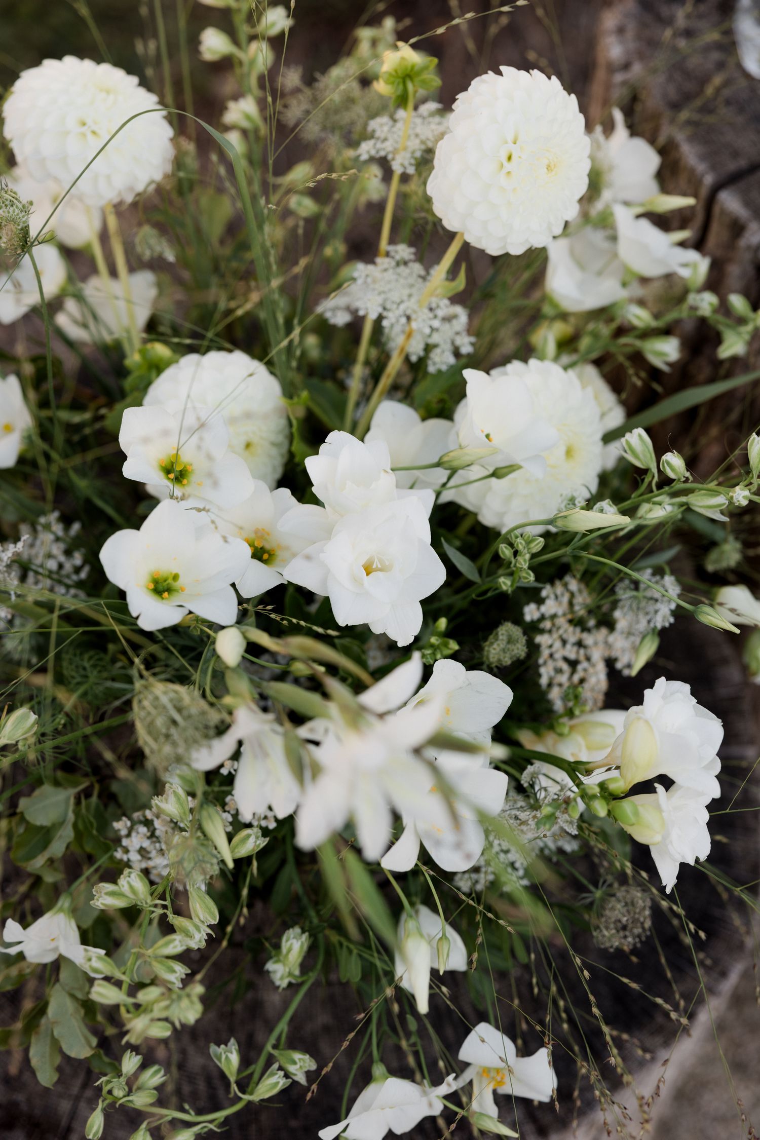 A delicate arrangement of white petunias and carnations with soft green foliage growing in a garden setting.