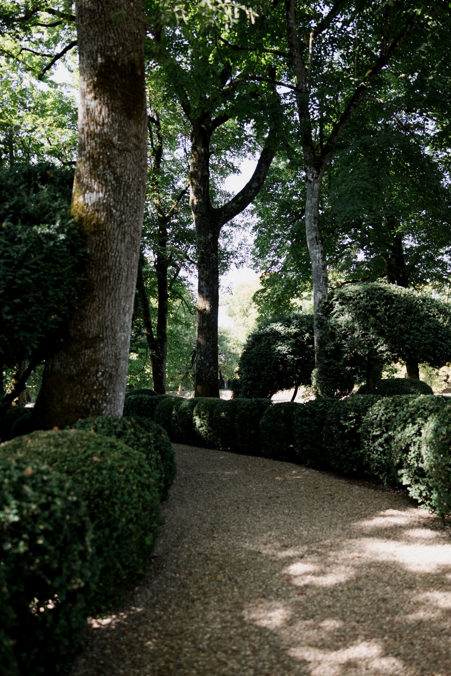 A shaded woodland path winds through a grove of tall trees with dappled sunlight filtering through the leafy canopy.