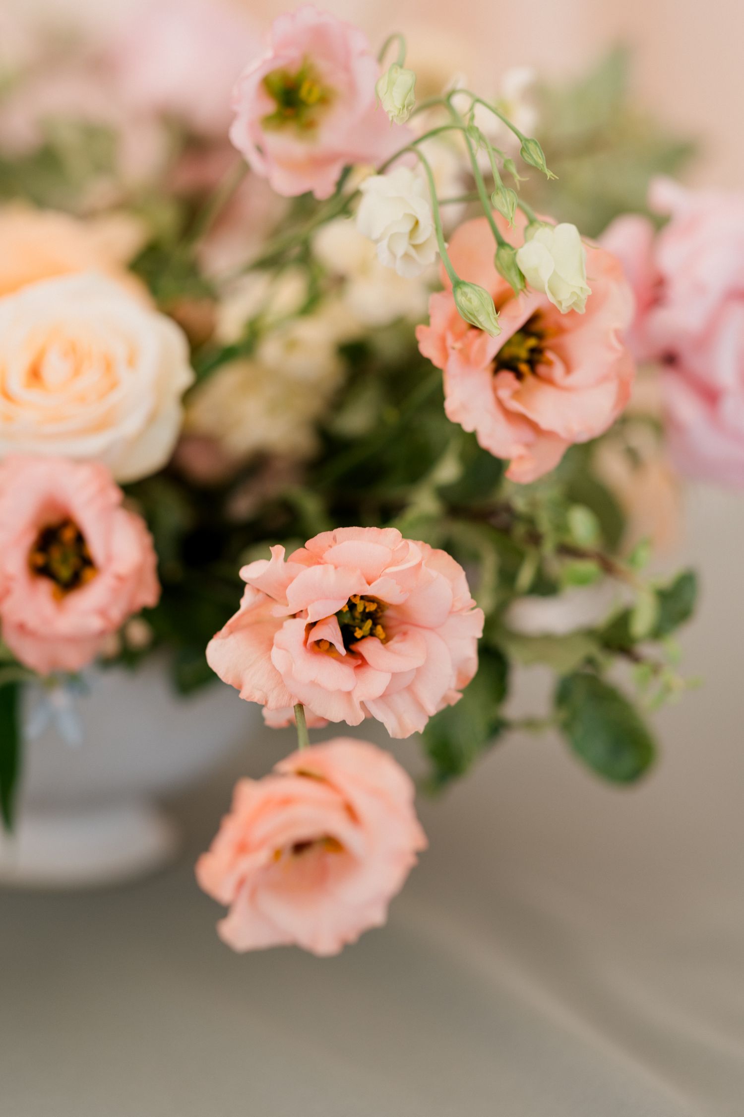 Delicate peach-colored lisianthus flowers with soft petals bloom in a romantic garden setting.