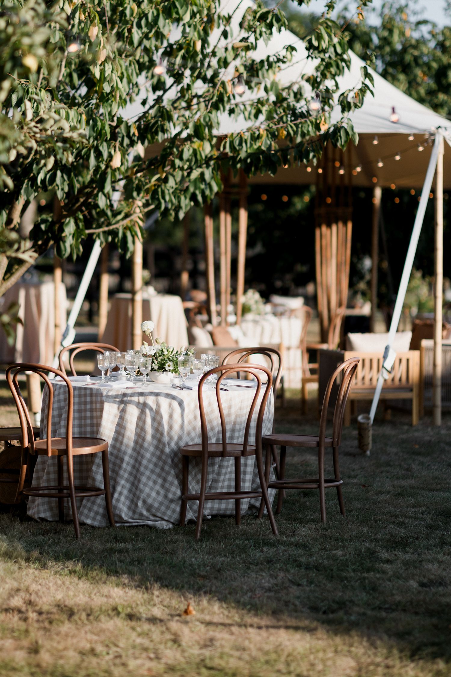 Outdoor dining setup with wooden chairs and checkered tablecloths under trees in a rustic garden setting.