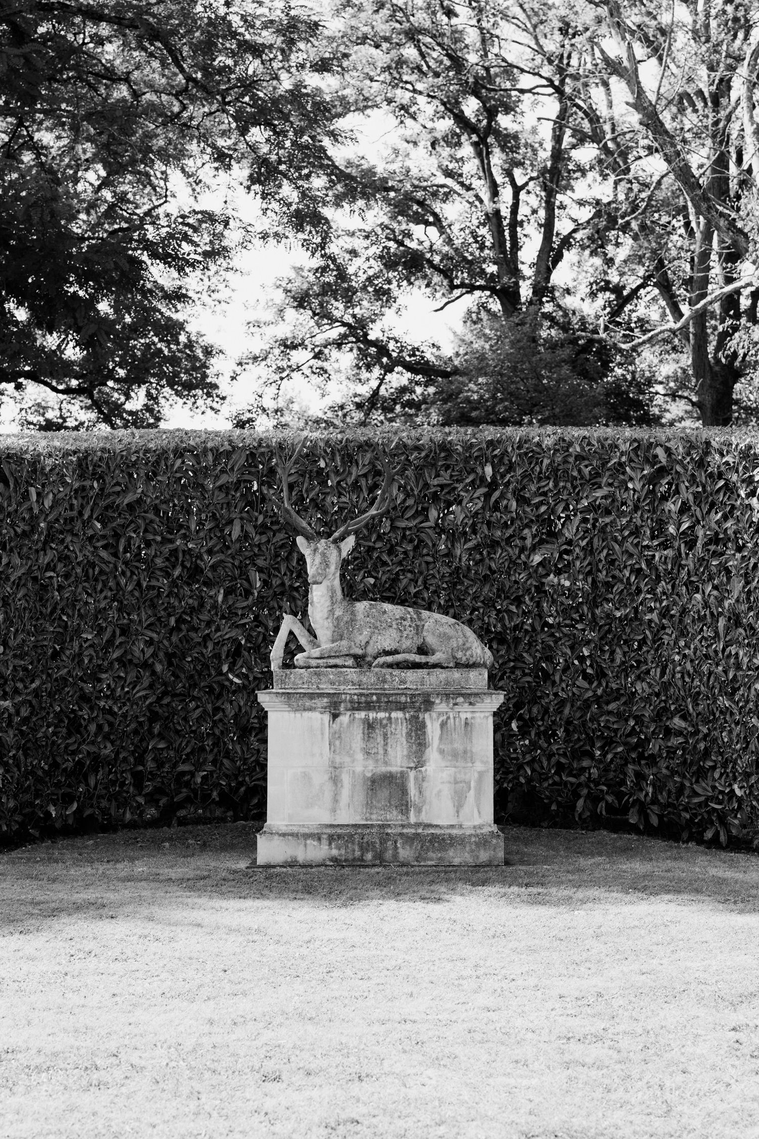 A series of stone benches arranged in a row along a manicured hedge in a formal garden setting. Paris wedding photographer