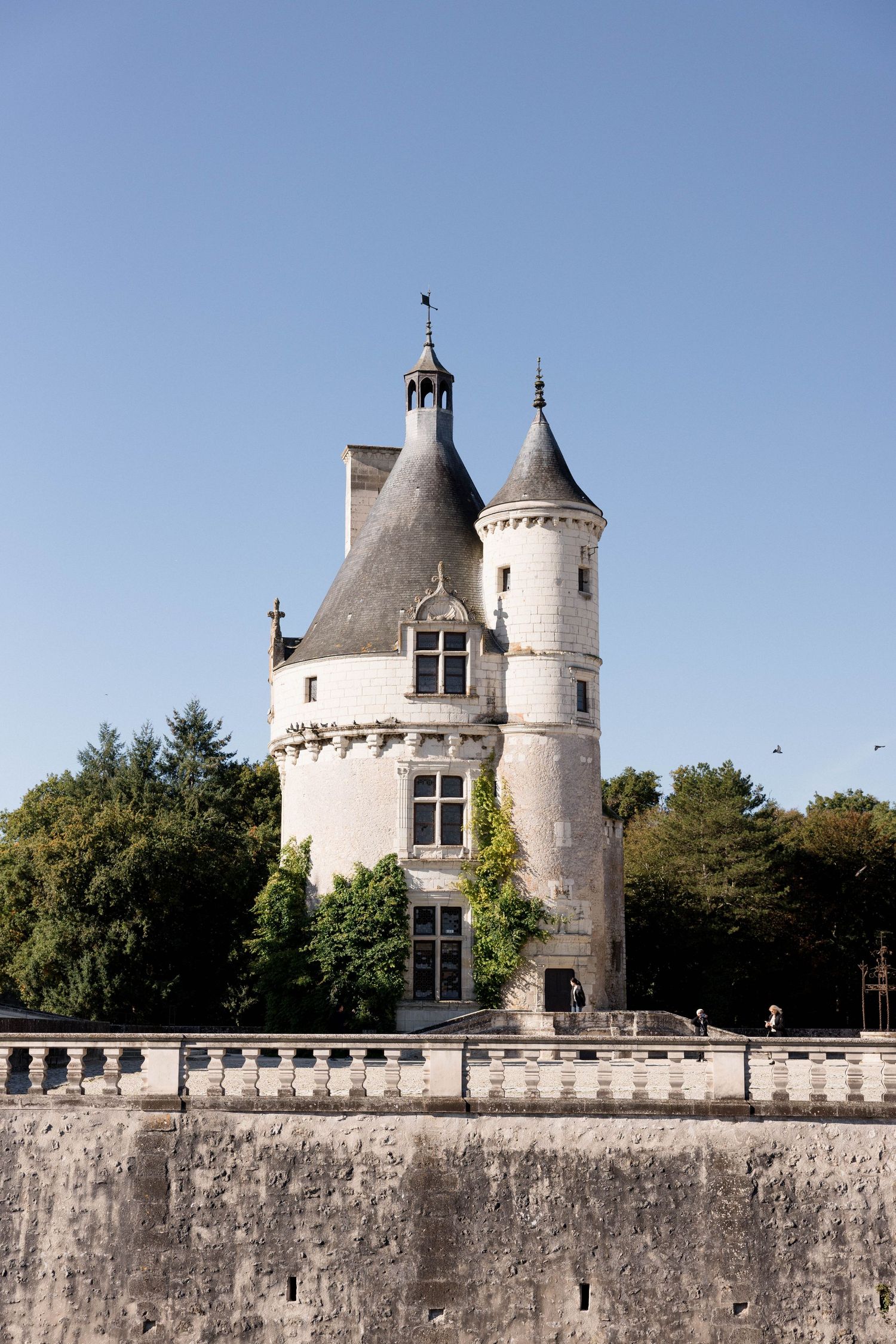 Historic French chateau tower with conical turrets surrounded by trees against clear blue sky.