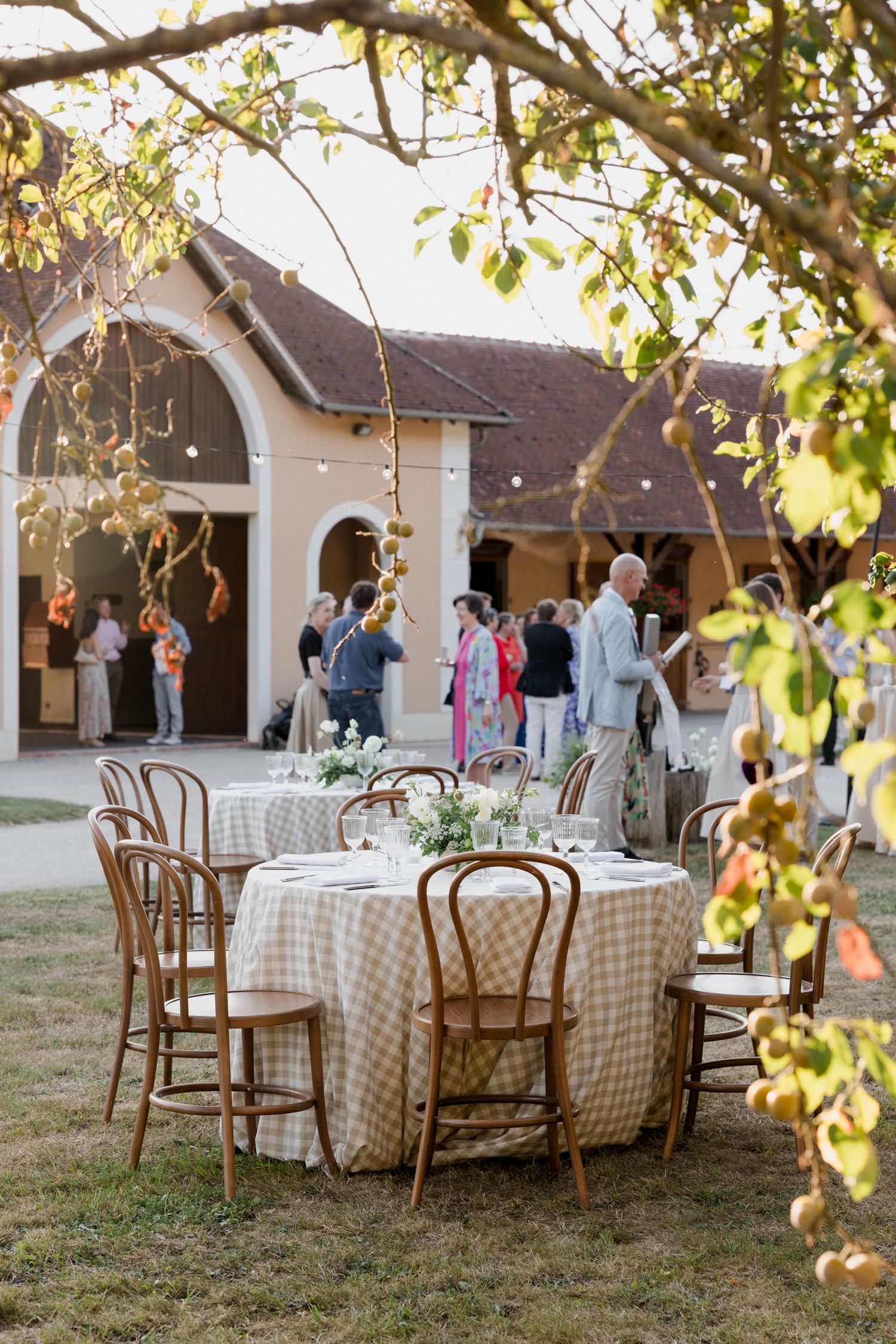Outdoor dining setup with checkered tablecloths and wooden chairs under trees at dusk for a rustic event.