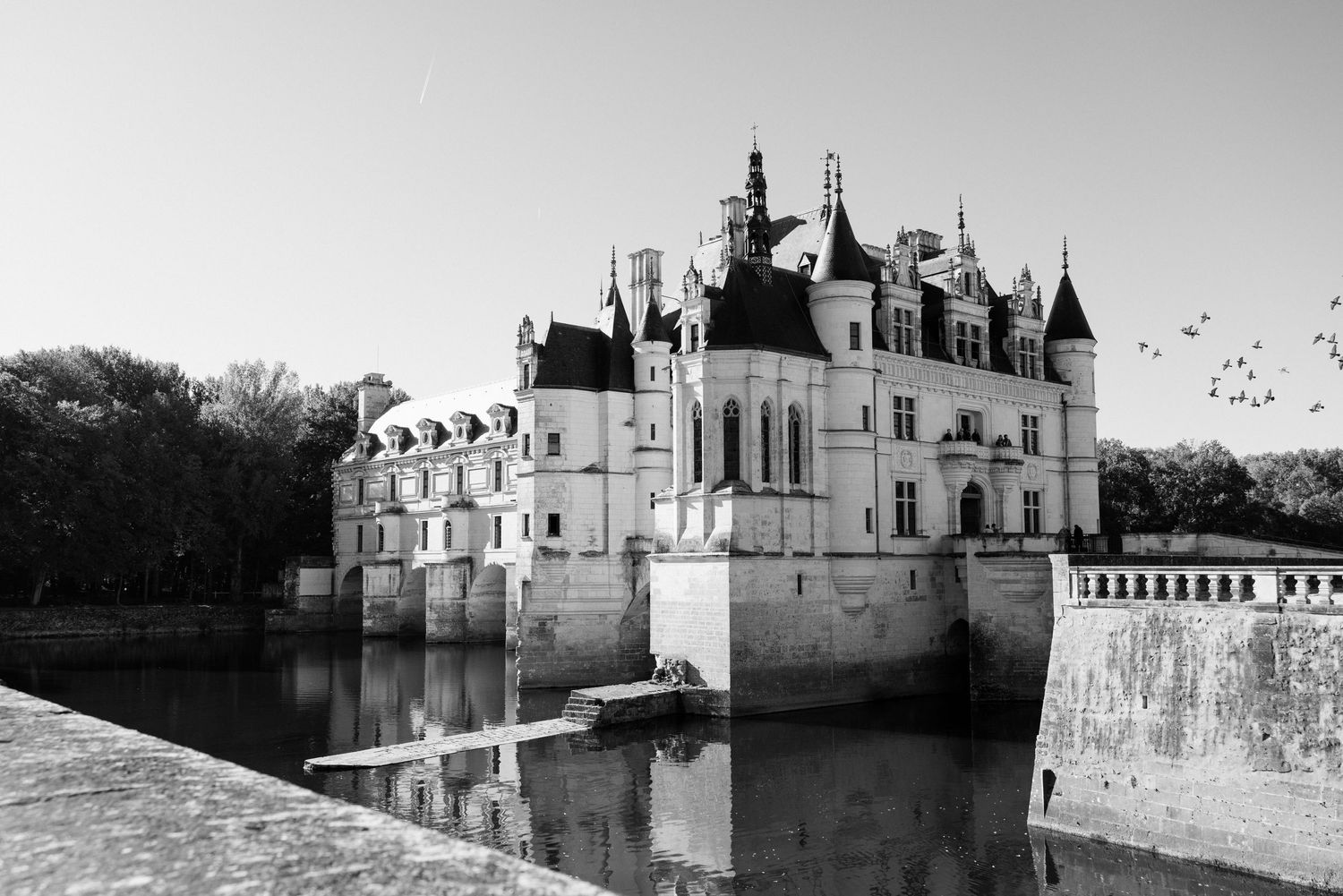 Black and white image of Chateau de Chenonceau with birds flying overhead, reflected in still water below.
