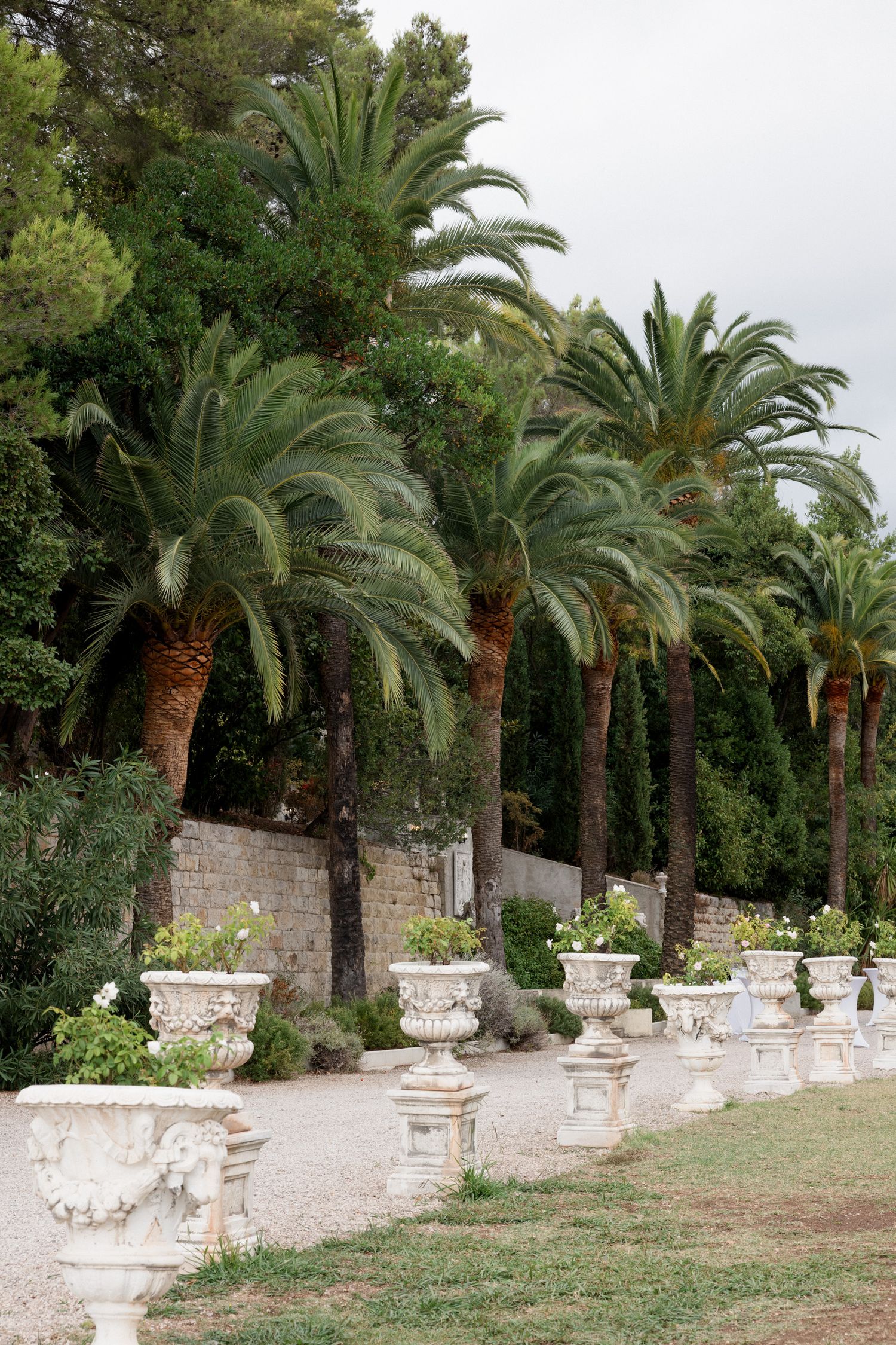 Row of ornate white stone urns line a garden path bordered by tall palm trees and lush greenery.