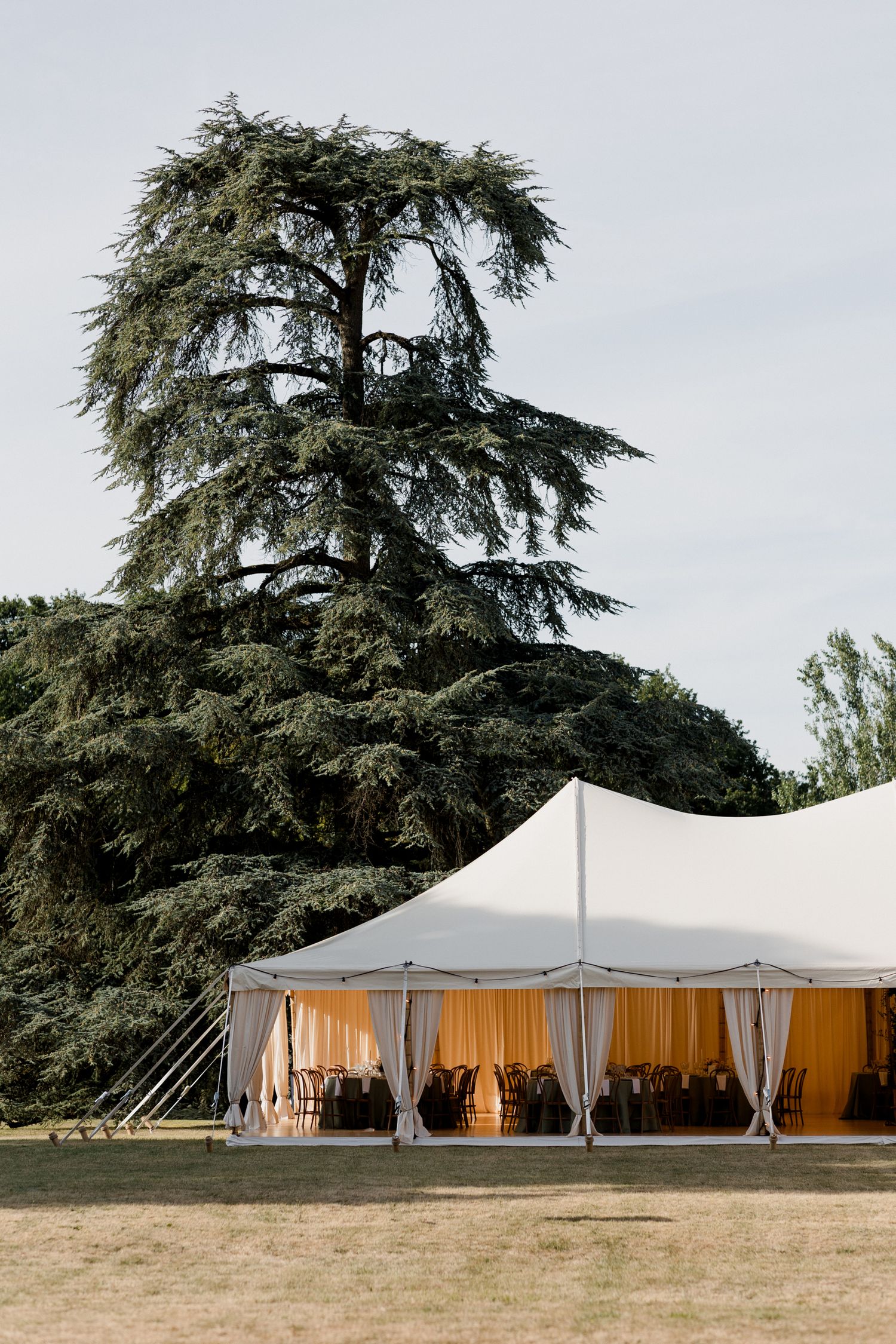 A large white wedding tent with draped curtains stands beneath a towering evergreen tree on a grassy lawn.