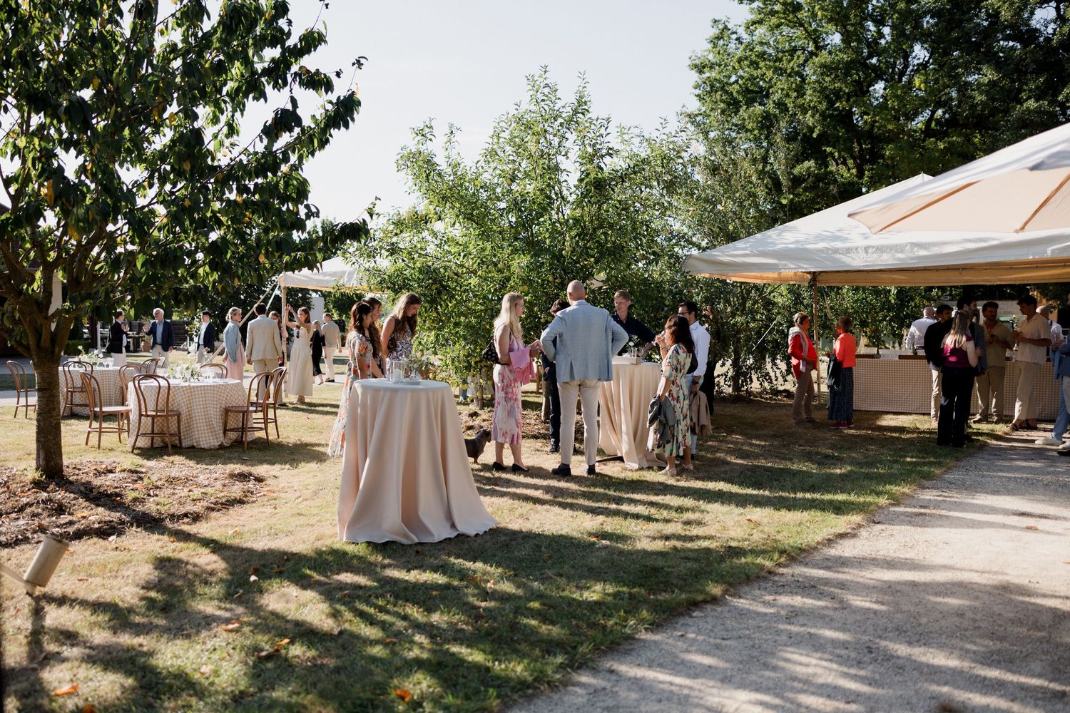 Panoramic view of an outdoor wedding ceremony setup with white chairs arranged in rows under shady trees.