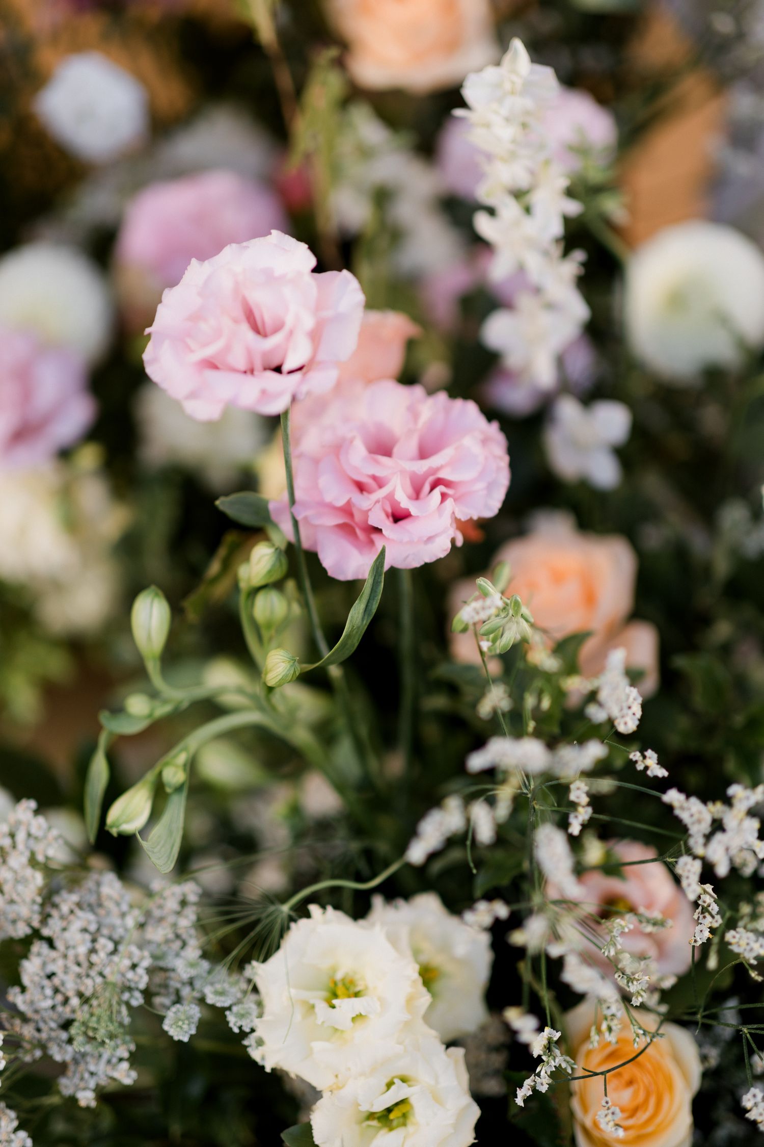 A beautiful floral arrangement featuring pink carnations, white roses, and delicate baby's breath against a dark background.