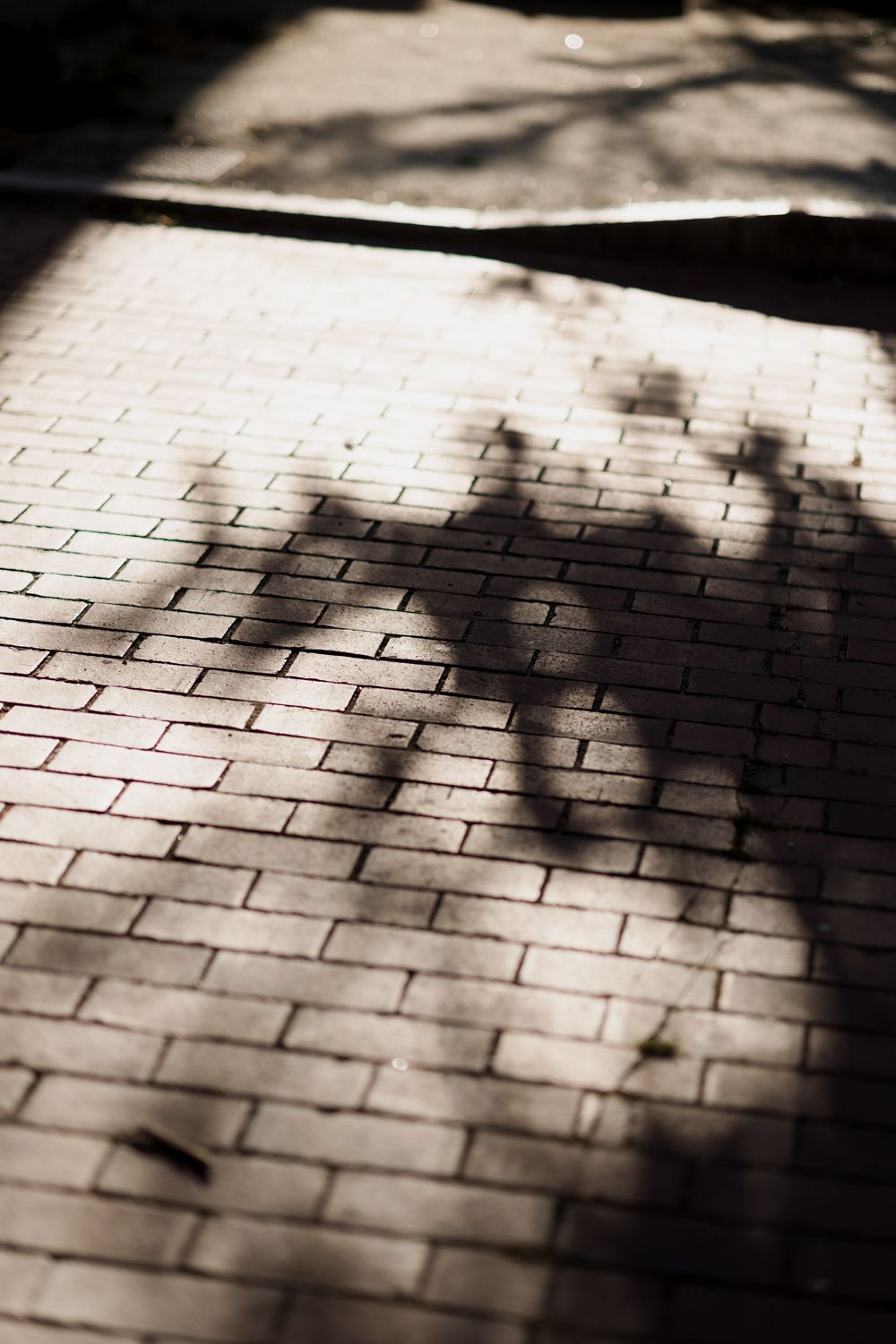 Dark shadows cast dramatic patterns across a textured brick wall in black and white photography.