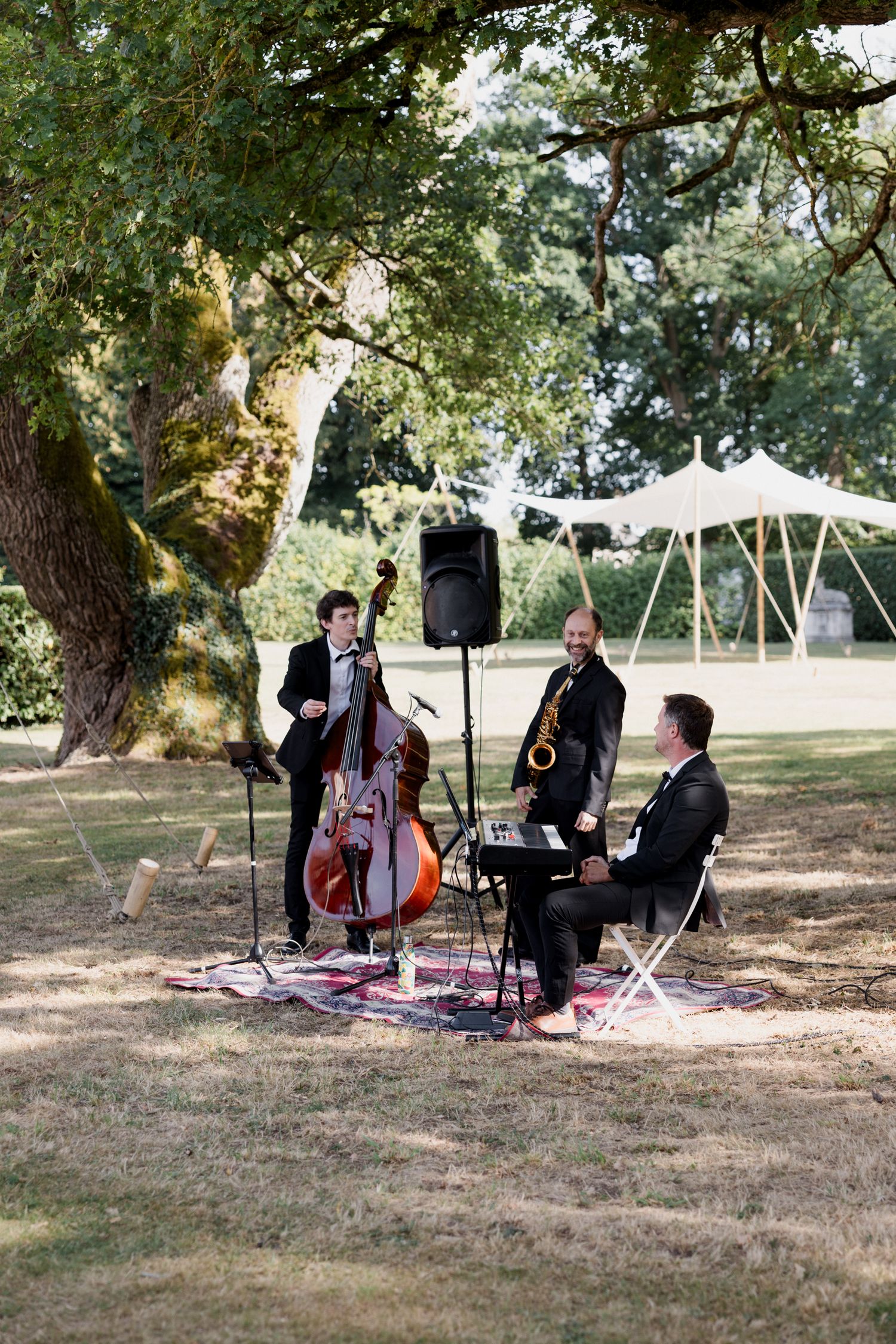 Musicians perform outdoors under trees with instruments including a double bass and violin on a sunny afternoon.