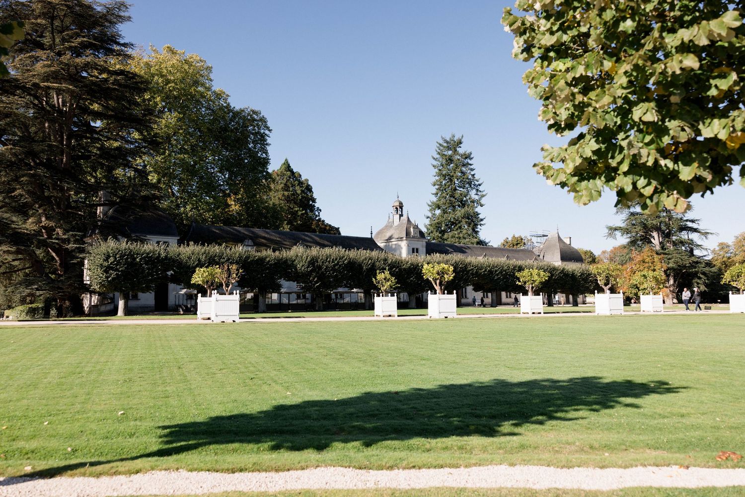 Elegant French château venue with manicured green lawn, ivy-covered pergola, and historic architecture under clear blue sky.
