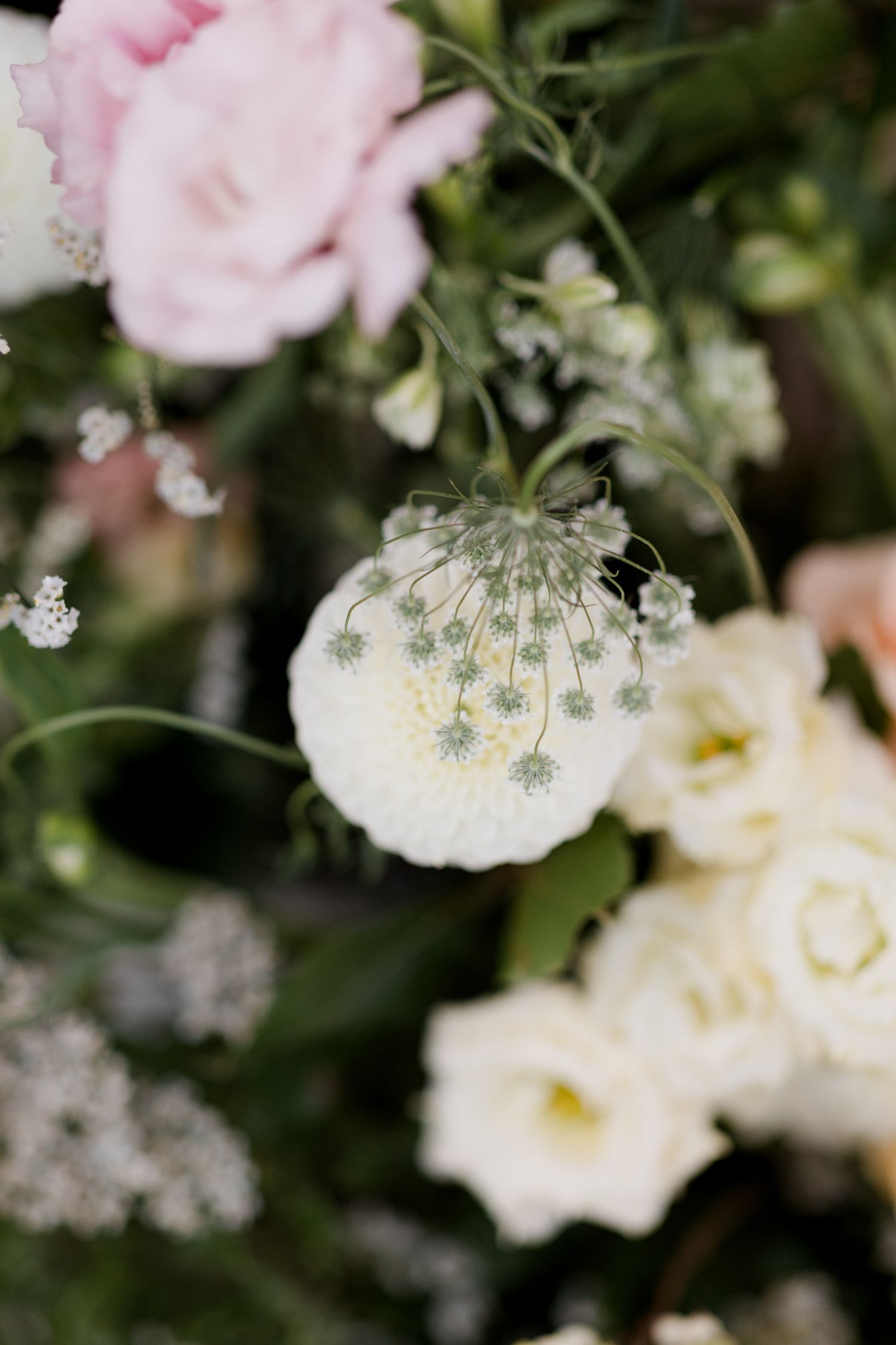Delicate pink and white flowers with small lacy white blooms create a romantic floral arrangement.