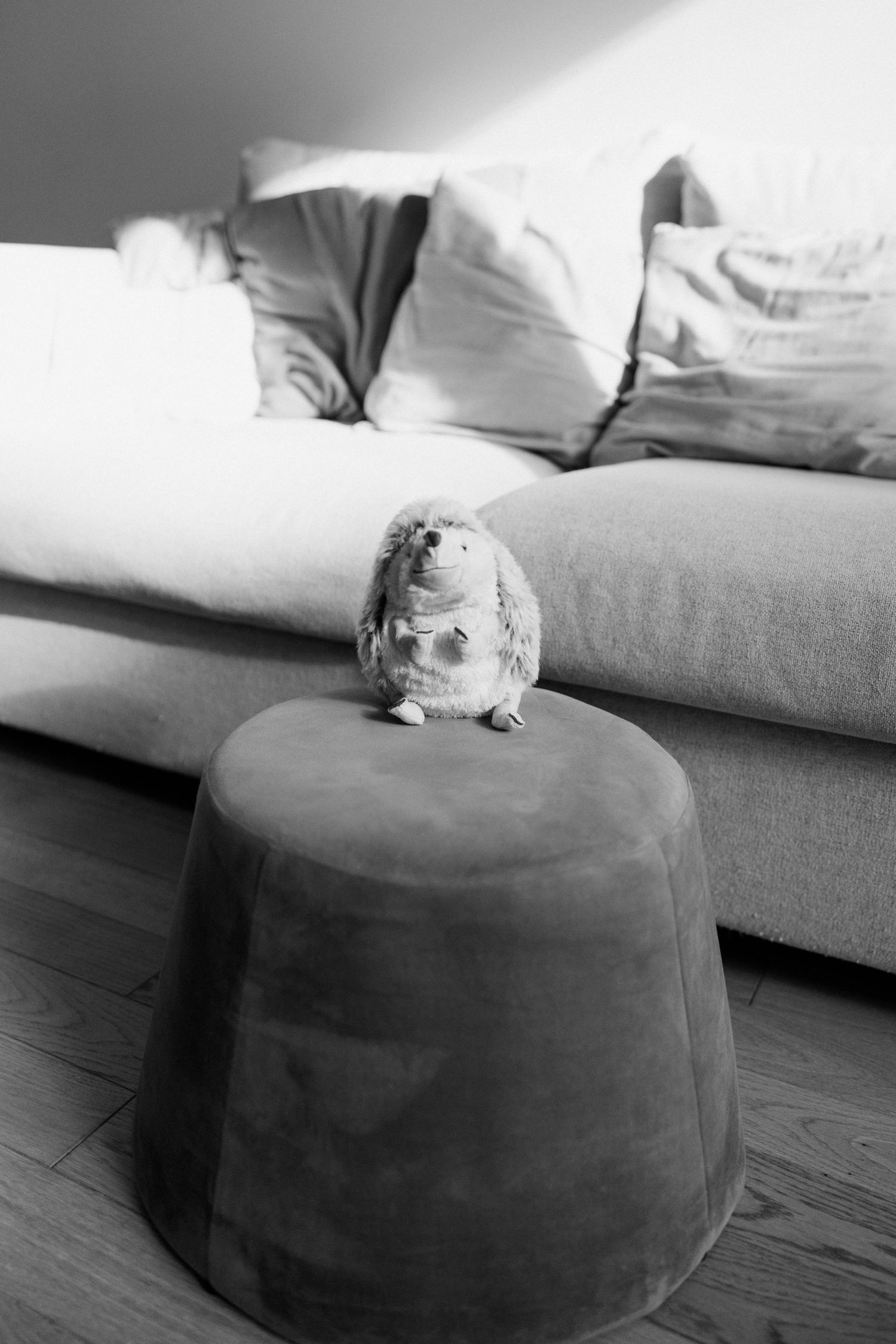 Black and white photo of a hedgehog sitting on a round stool in front of a cozy sofa with pillows.