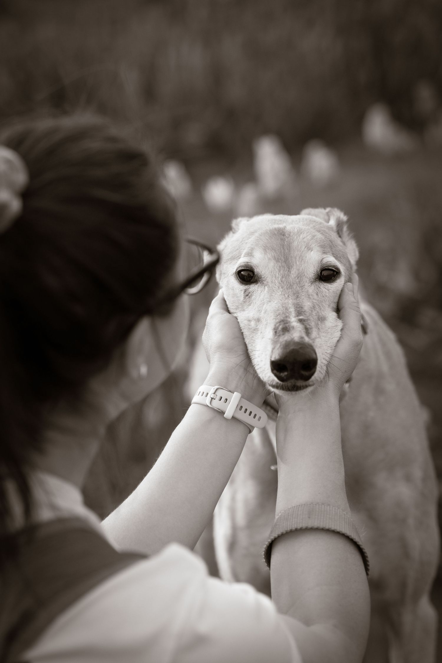 Katie Ziegler Photography. Huntsville, Alabama. Pet Photographer. Tulip fields at the Hubert Family Farms. New Market, AL. Cute Dog Photos.