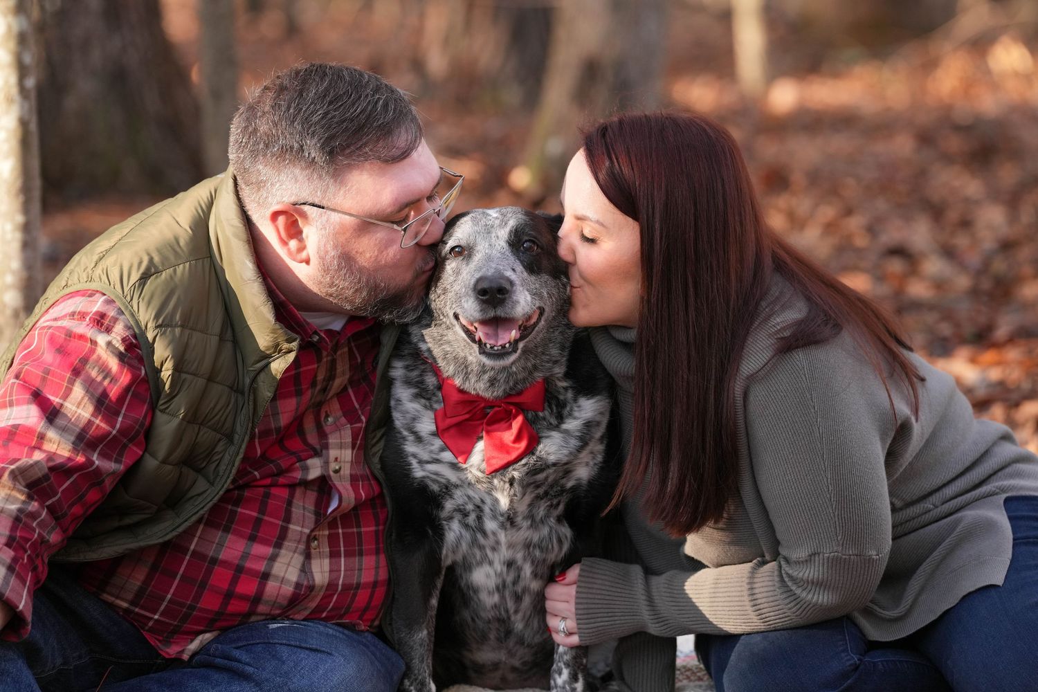 Katie Ziegler Photography. Huntsville, Alabama. Pet Photographer. blue heeler dog, green mountain, Madison county nature trail