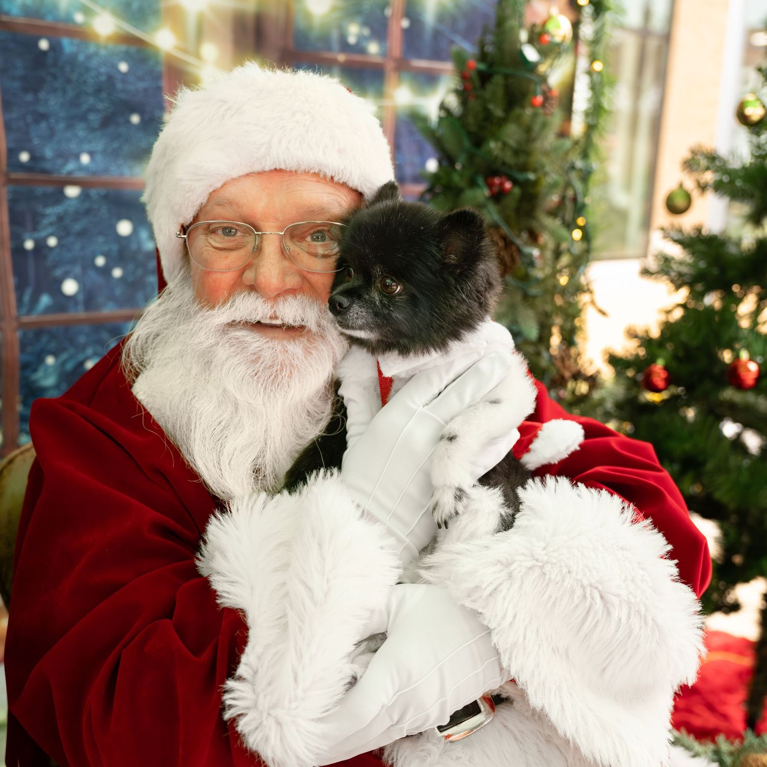 Pet Photos with Santa, Katie Ziegler Photography, a dog came to see Santa, Huntsville, AL, Midcity District