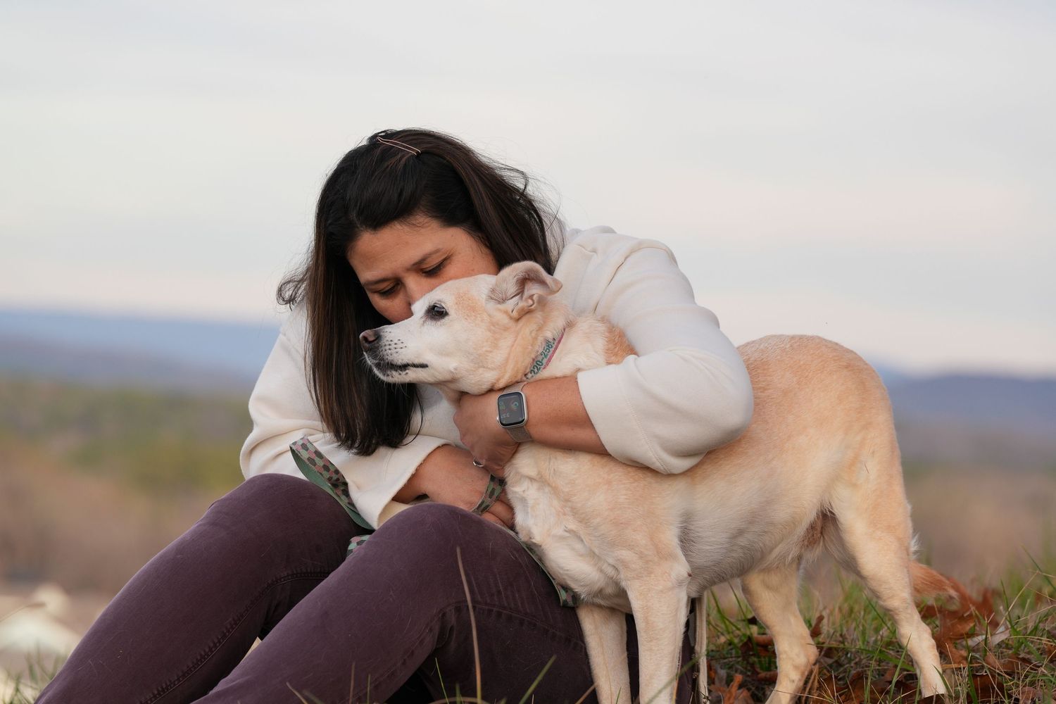 Katie Ziegler Photography. Huntsville, Alabama. Pet Photographer. Senior Dog Portraits