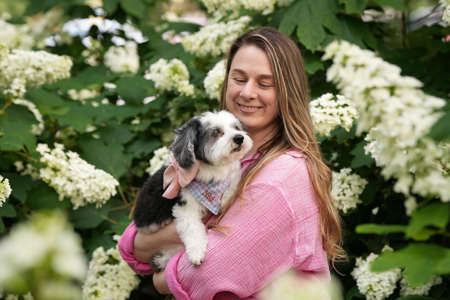 Katie Ziegler Photography. Huntsville, Alabama. Pet Photographer. Senior Dog Portraits