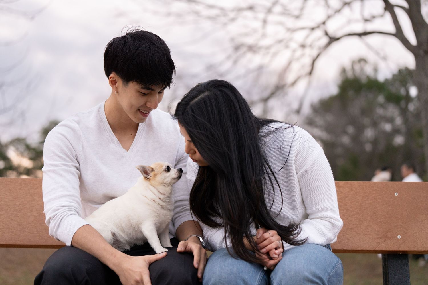 Katie Ziegler Photography. Huntsville, Alabama. Pet Photographer. senior pet portraits