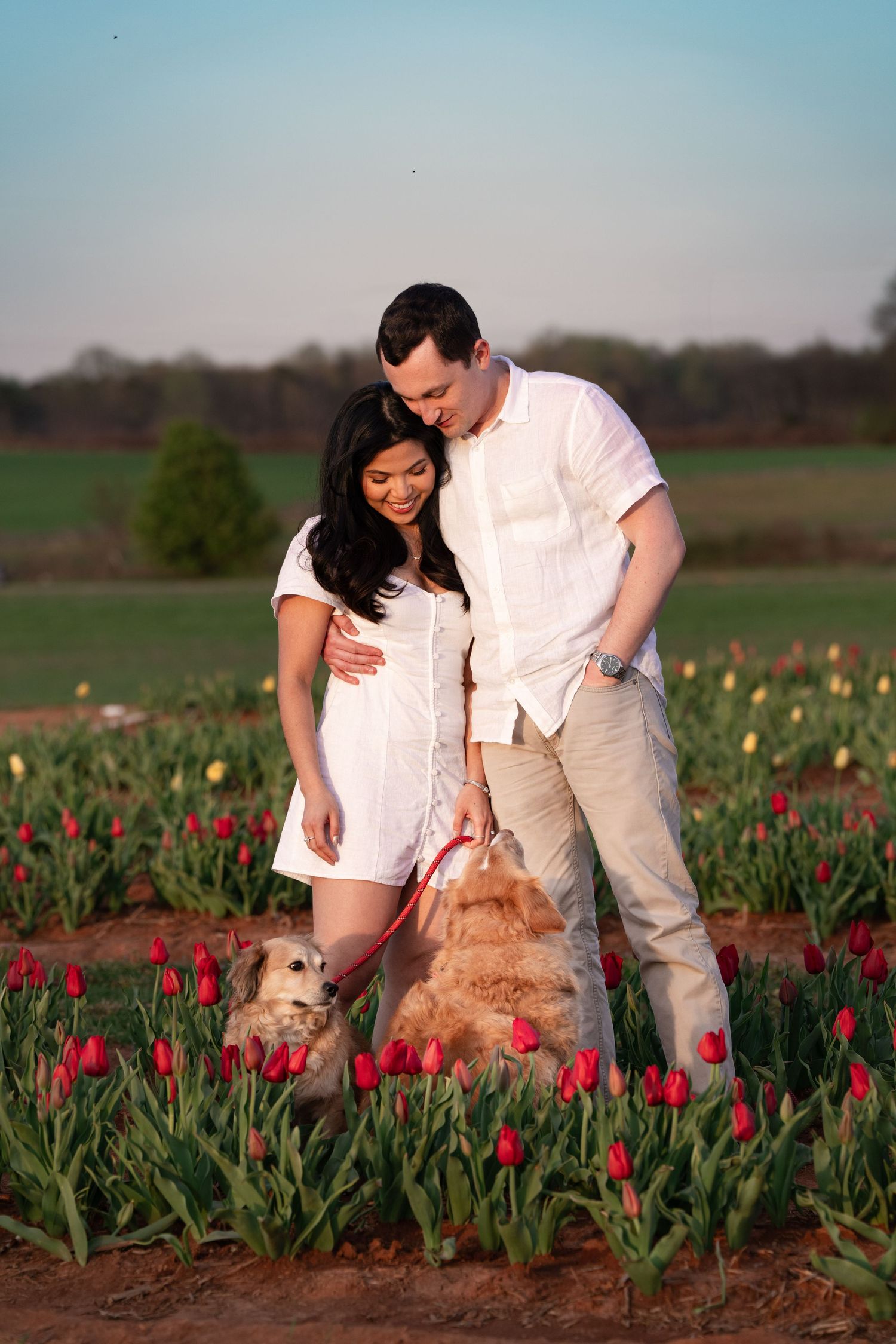 Katie Ziegler Photography. Huntsville, Alabama. Pet & Family Photographer. Tulip fields at the Hubert Family Farms. Cute Dog Photos.