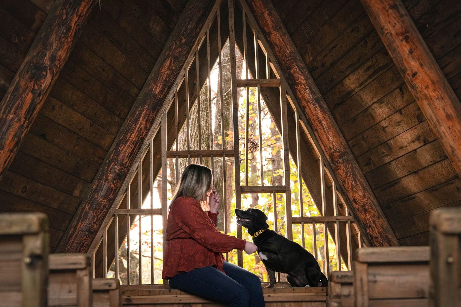 Katie Ziegler Photography. Huntsville, Alabama. Pet Photographer, green mountain, Madison county nature trail