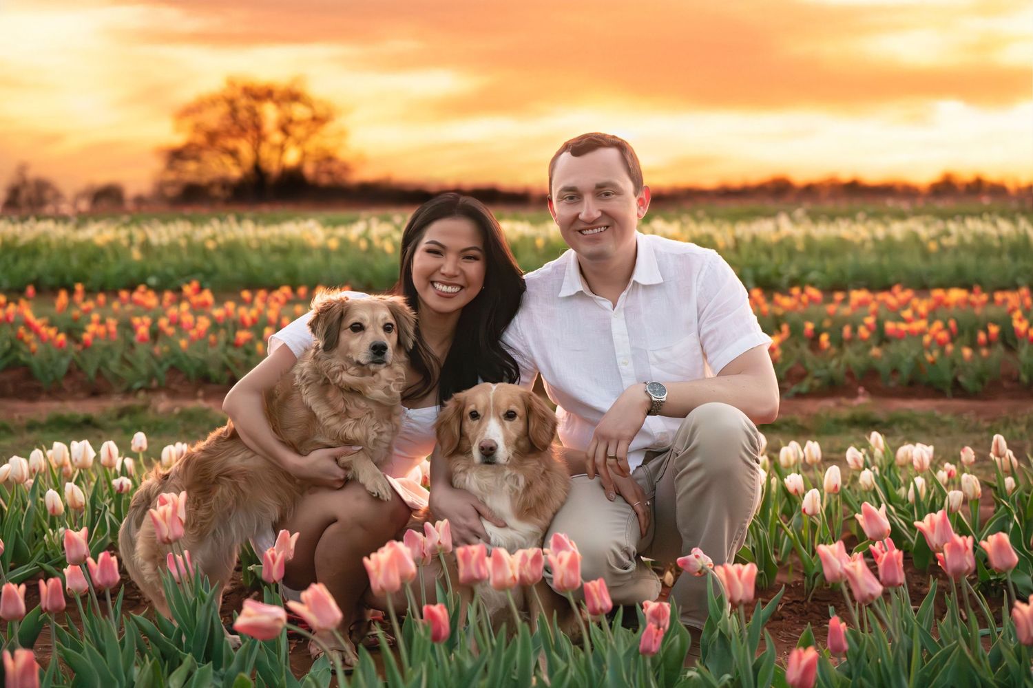 Katie Ziegler Photography. Huntsville, Alabama. Pet Photographer. Hubert family farms, new market, tulip fields