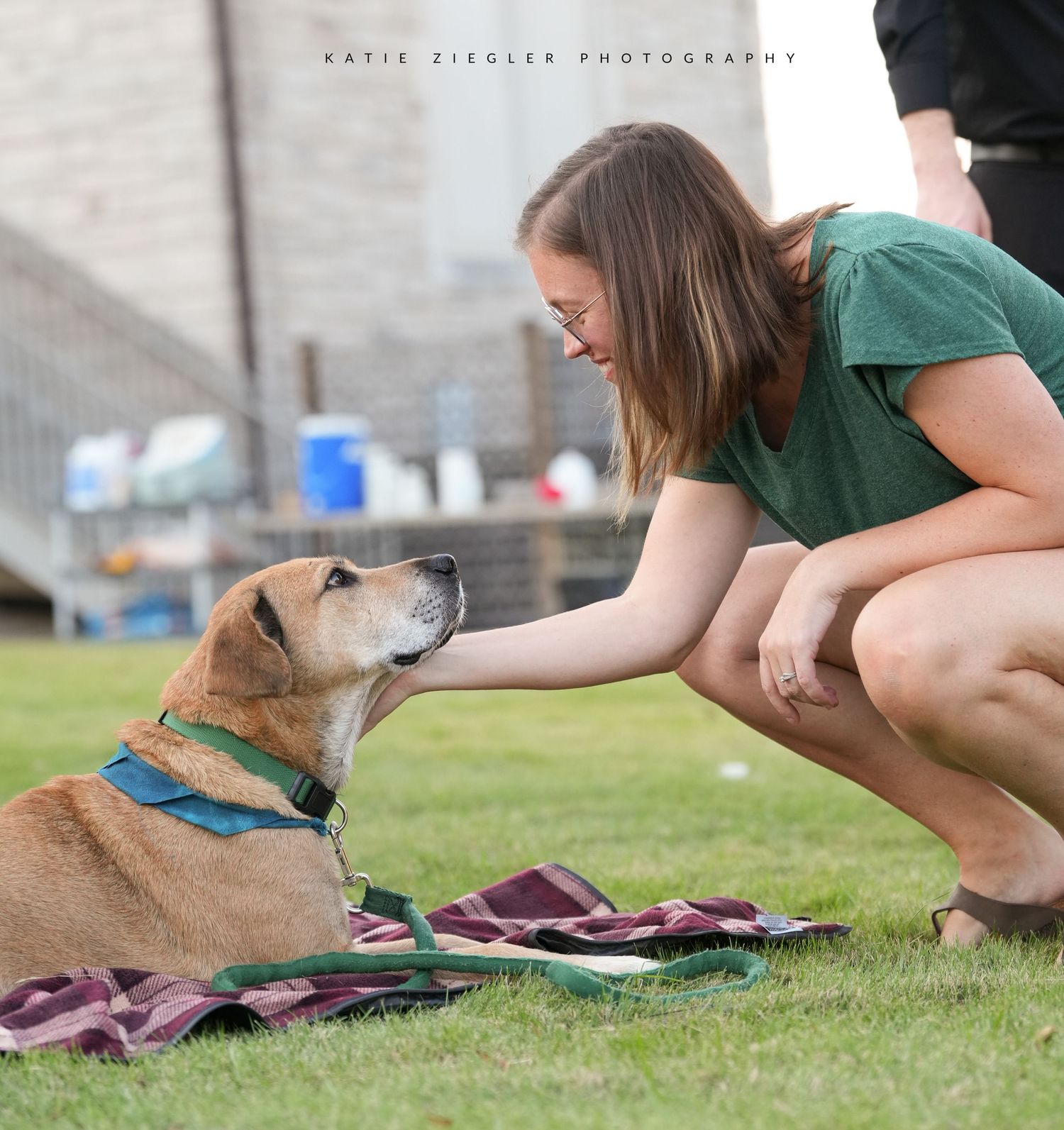 Katie Ziegler Photography. Huntsville, Alabama. Pet Photographer.