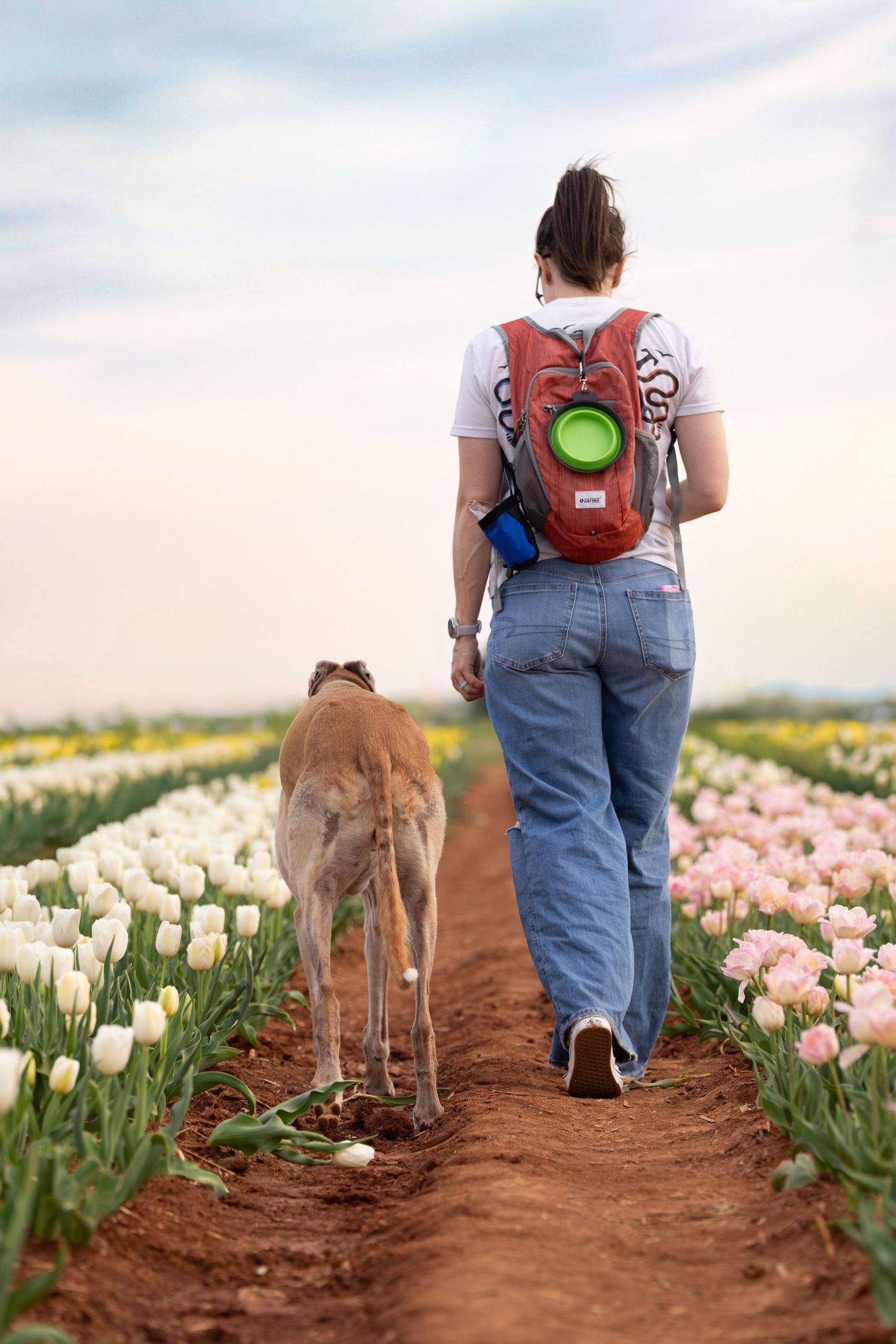 Katie Ziegler Photography. Huntsville, Alabama. Pet & Family Photographer. Tulip fields at the Hubert Family Farms. Cute Dog Photos.