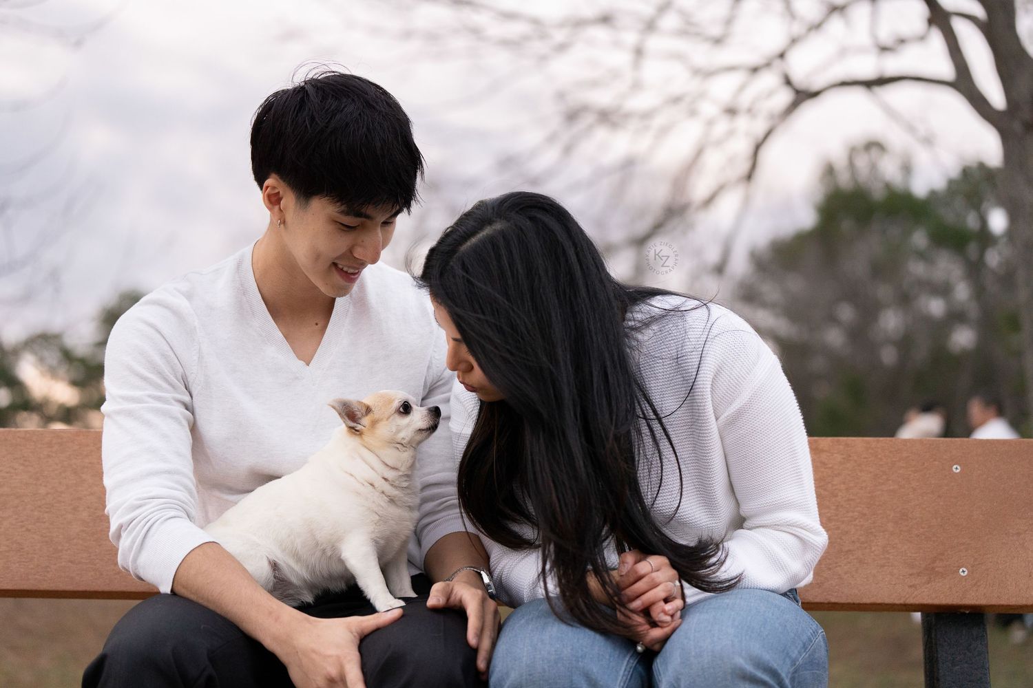 Katie Ziegler Photography. Huntsville, Alabama. Pet Photographer. senior pet portraits