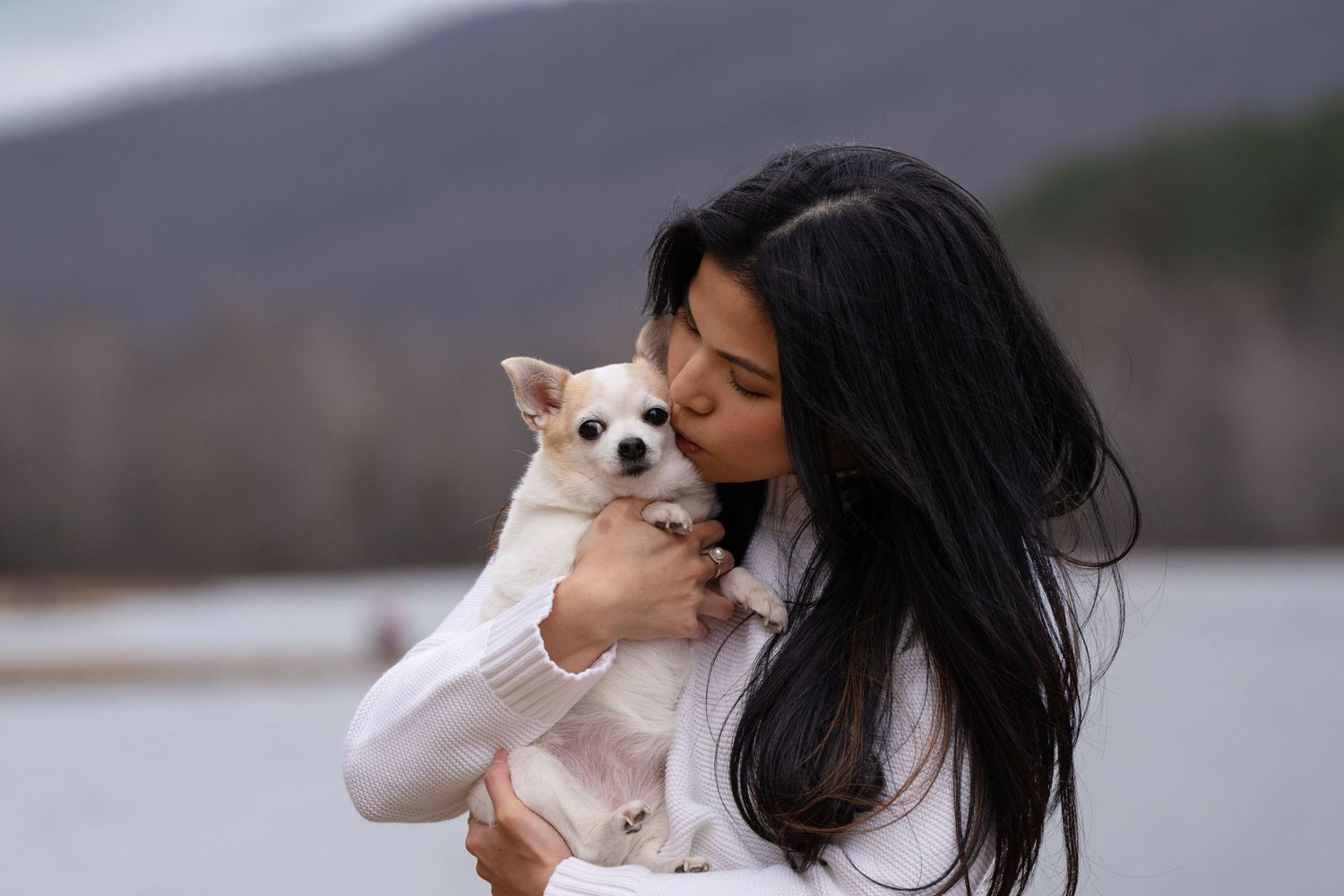 Katie Ziegler Photography. Huntsville, Alabama. Pet Photographer. senior pet portraits