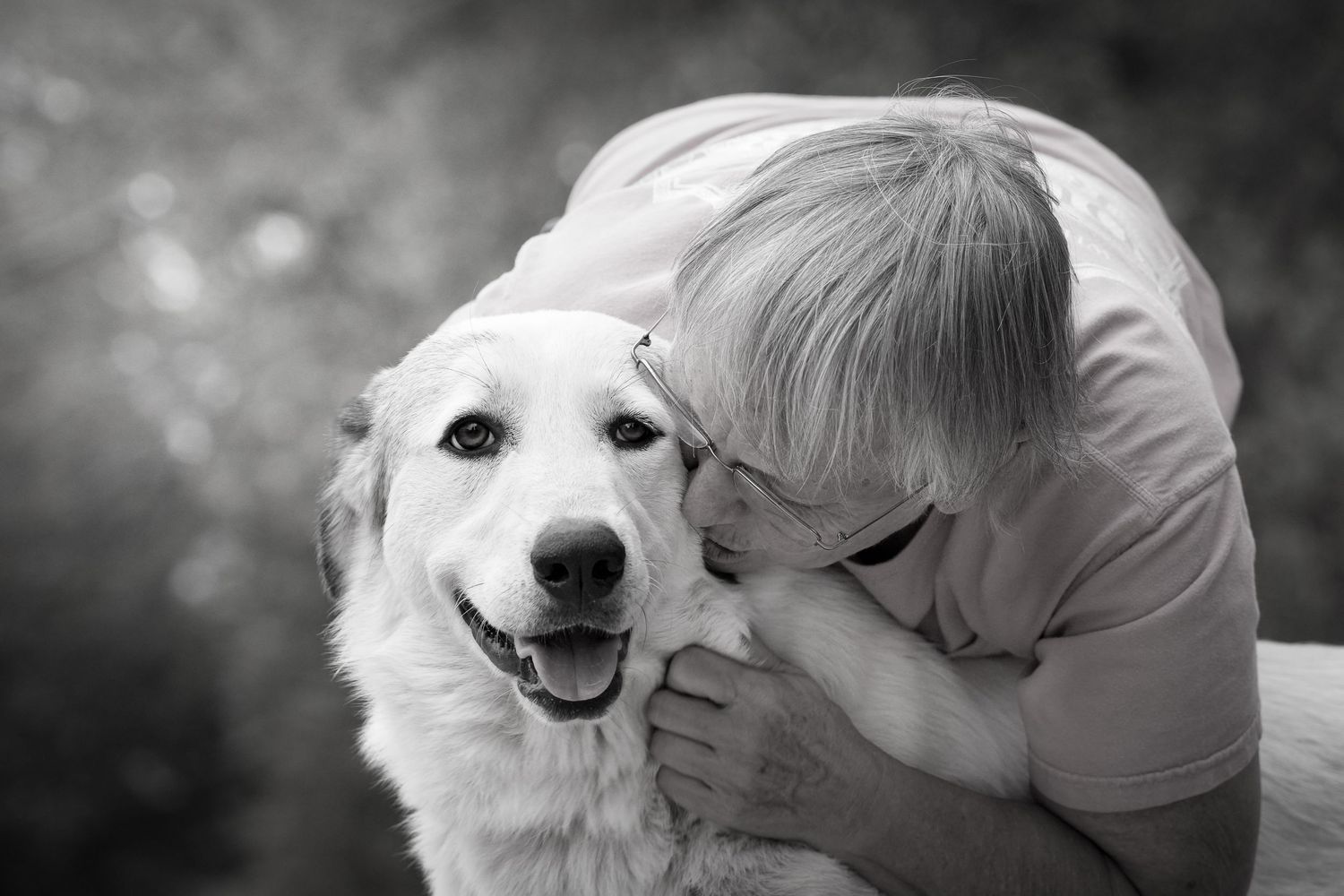 Katie Ziegler Photography. Huntsville, Alabama. Pet Photographer.