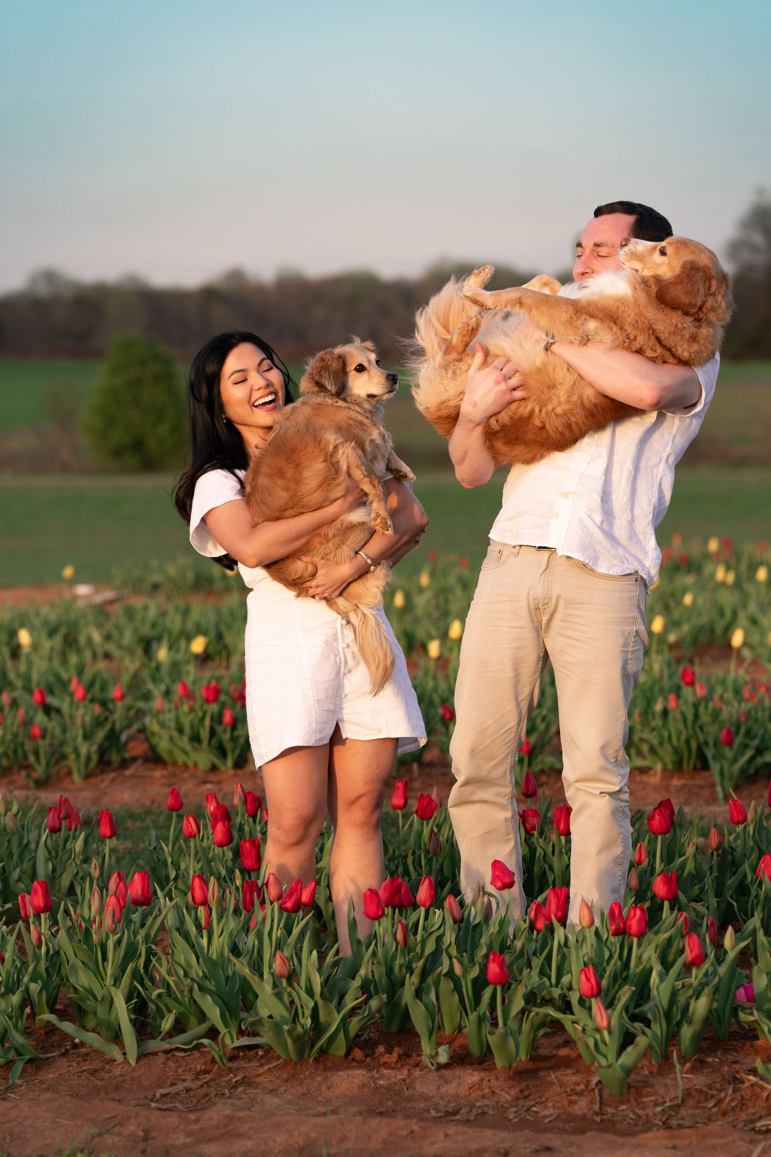 Katie Ziegler Photography. Huntsville, Alabama. Pet & Family Photographer. Tulip fields at the Hubert Family Farms. Cute Dog Photos.