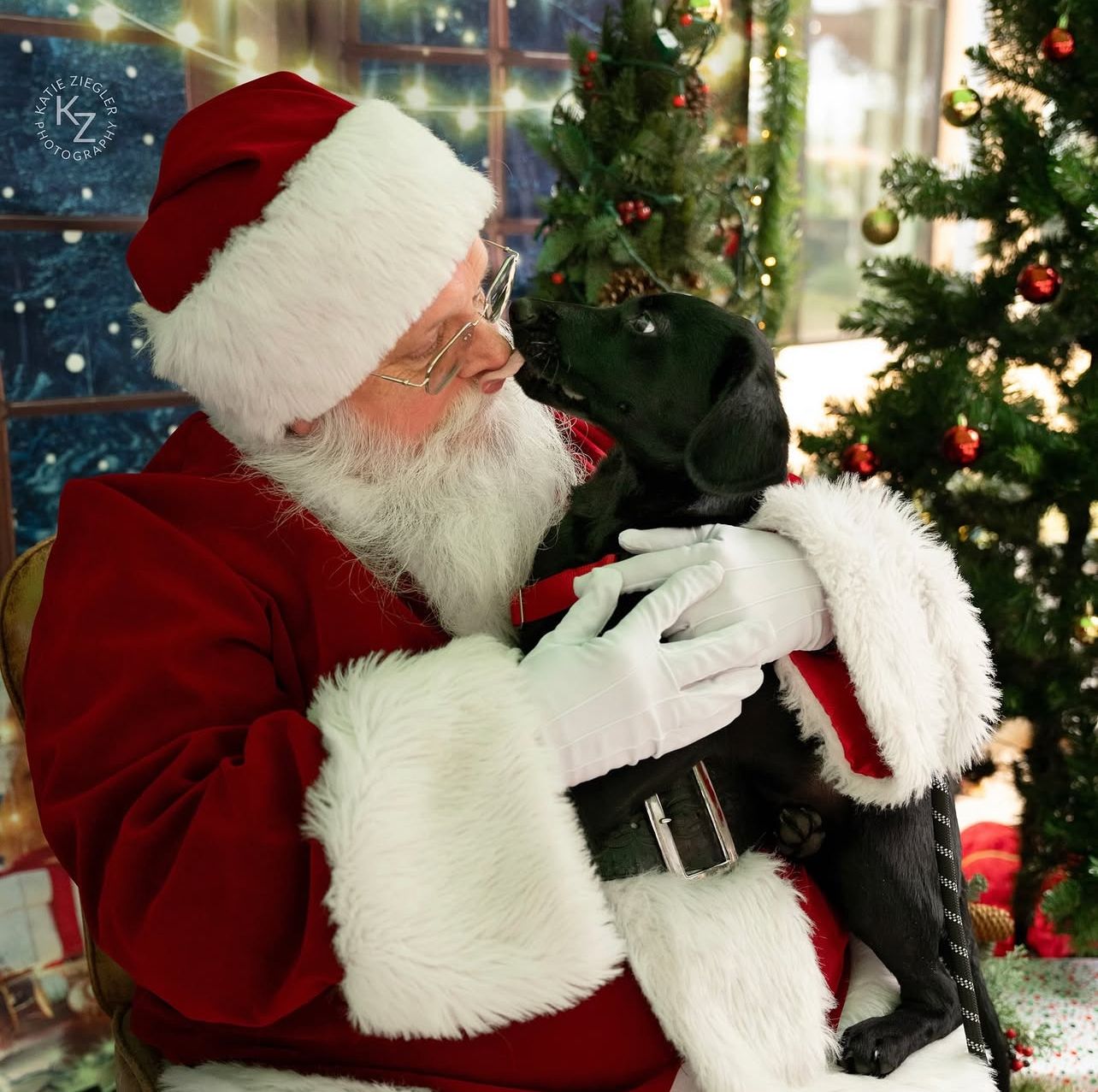 Pet Photos with Santa, Katie Ziegler Photography, a homeless dog came to see Santa, Huntsville, AL, Midcity District