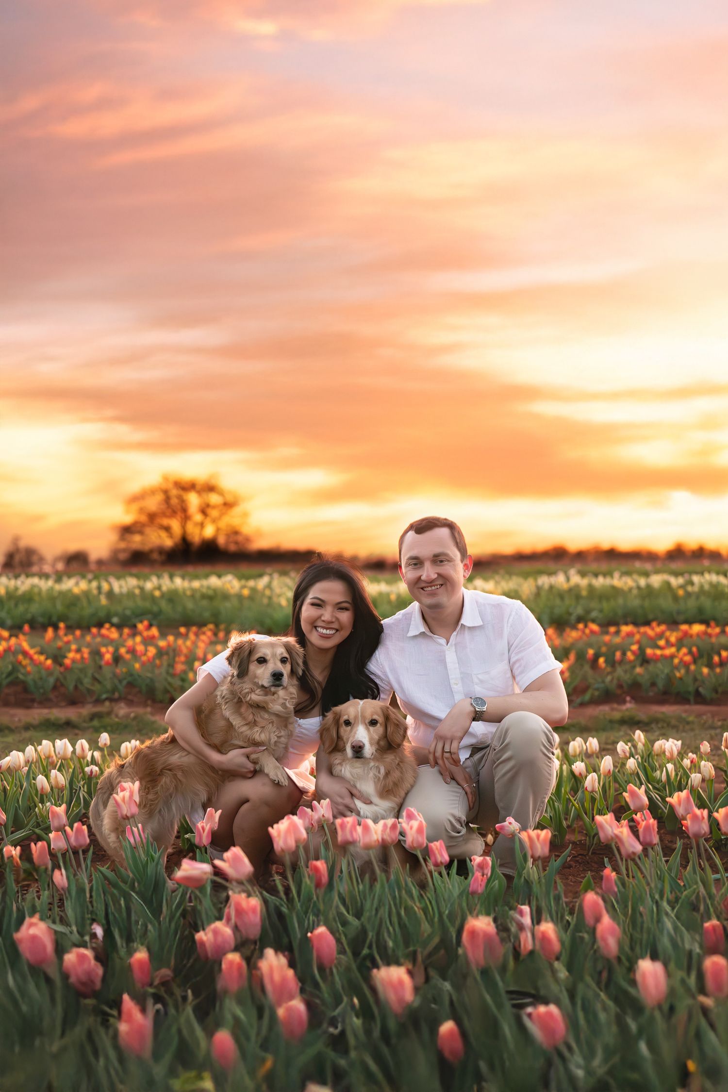 Katie Ziegler Photography. Huntsville, Alabama. Pet & family Photographer. Tulip fields at the Hubert Family Farms. New Market, AL.