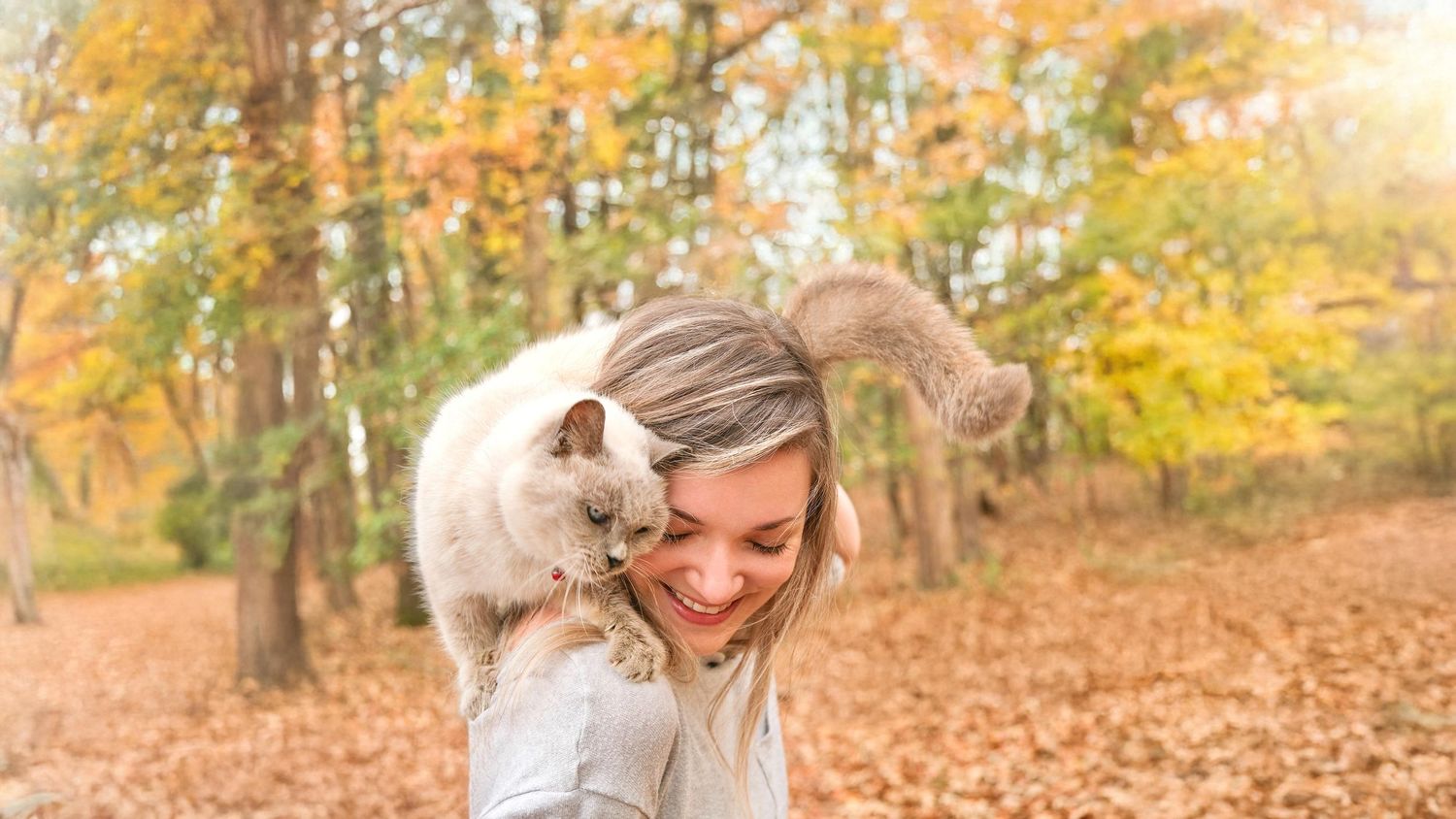 Katie Ziegler Photography. Huntsville, Alabama. Pet Photographer. Fall photos. Cats.
