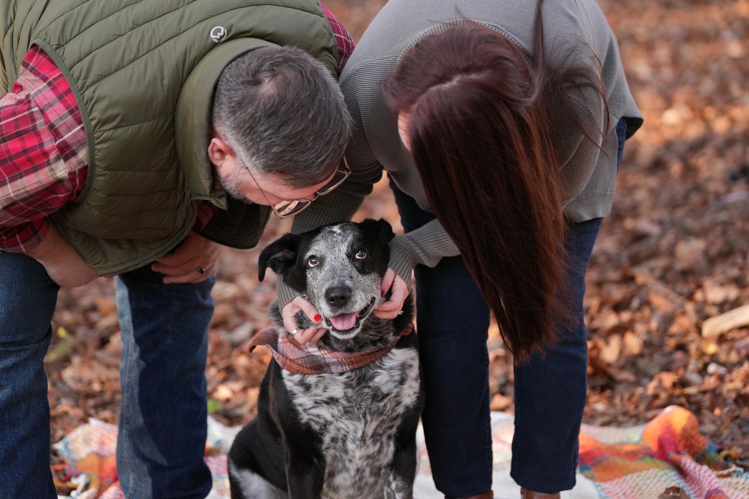 Katie Ziegler Photography. Huntsville, Alabama. Pet and Family Photographer. Fall photos. Australian Cattle Dog, blue Heeler, rescue dog.