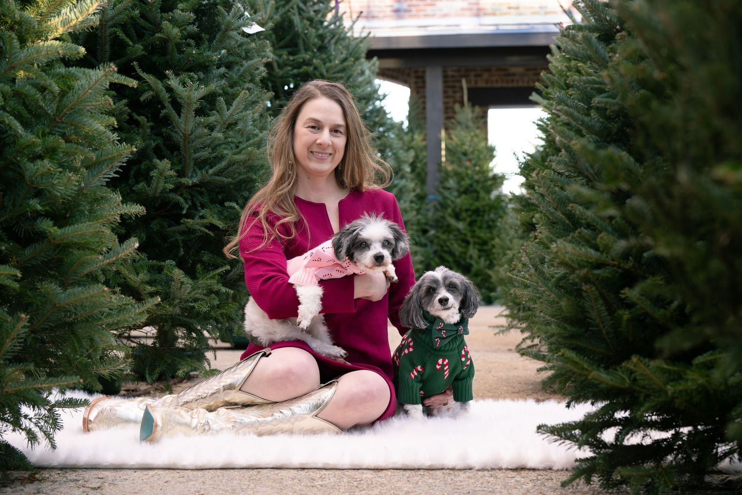 Katie Ziegler Photography. Huntsville, Alabama. Pet Photographer.  mid city district