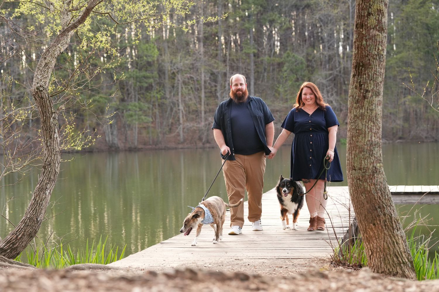 Katie Ziegler Photography. Huntsville, Alabama. Pet Photographer. australian shepherd  dog, green mountain, Madison county nature trail
