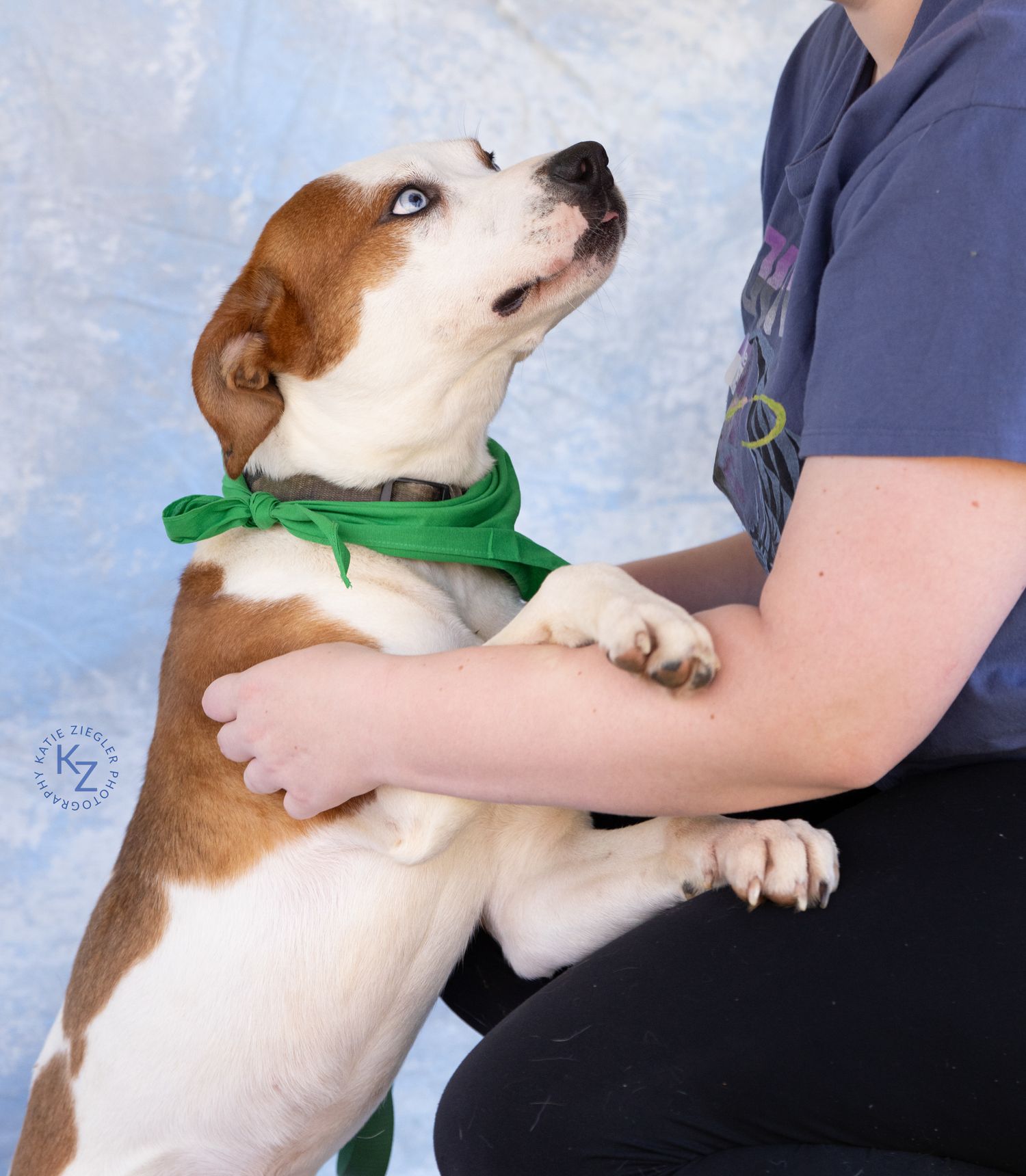 Katie Ziegler Photography. Huntsville, Alabama. Pet Photographer.