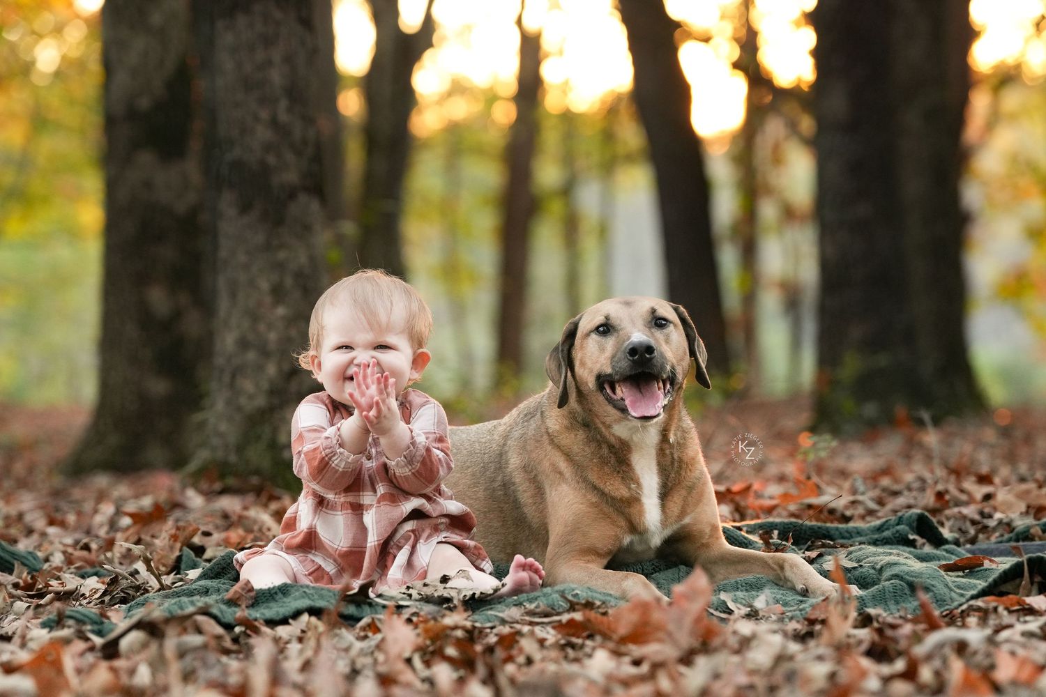 Katie Ziegler Photography. Huntsville, Alabama. Pet Photographer. fall pet portraits, dog photographer