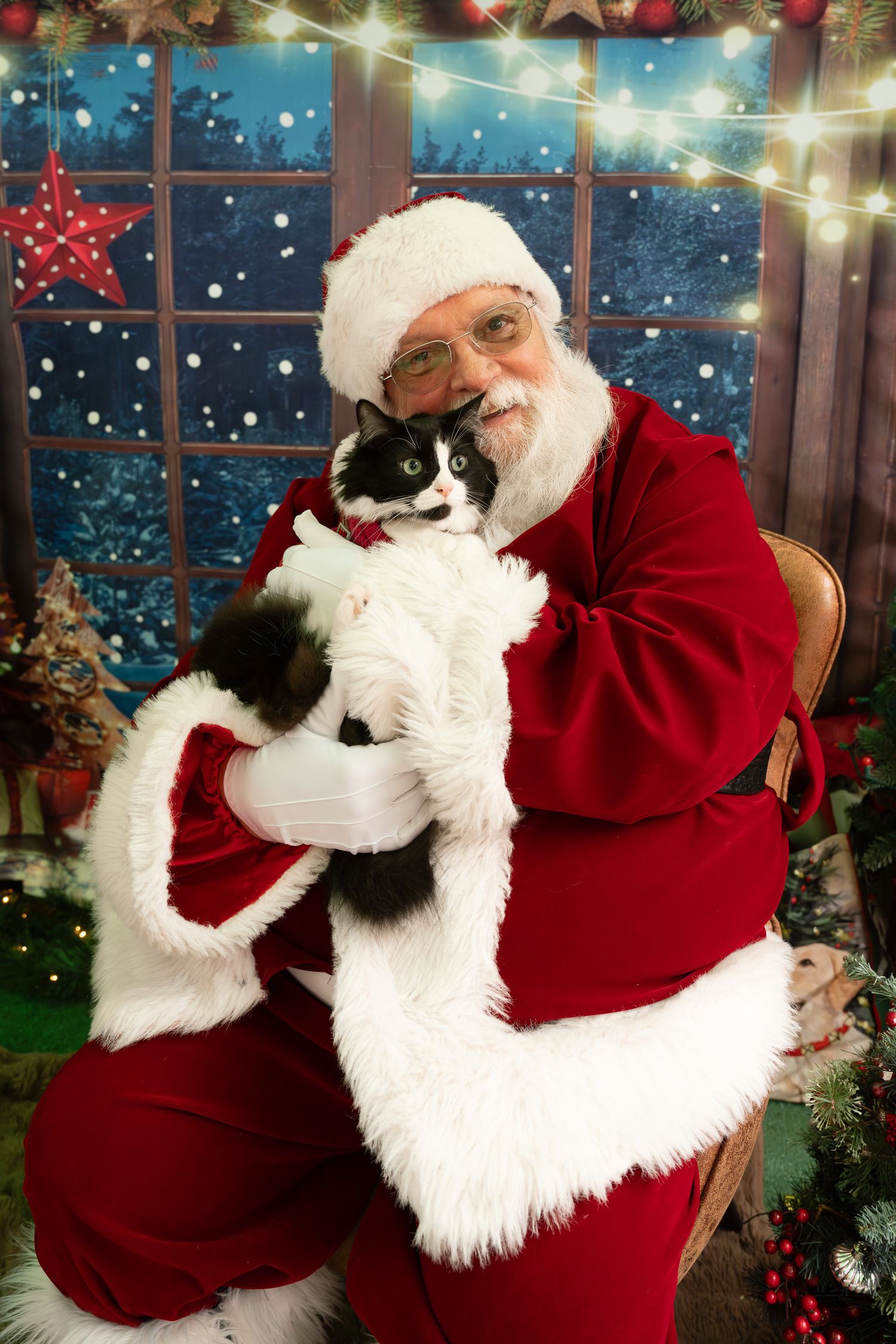 Pet Photos with Santa, Katie Ziegler Photography, a cat came to see Santa, Huntsville, AL, Midcity District
