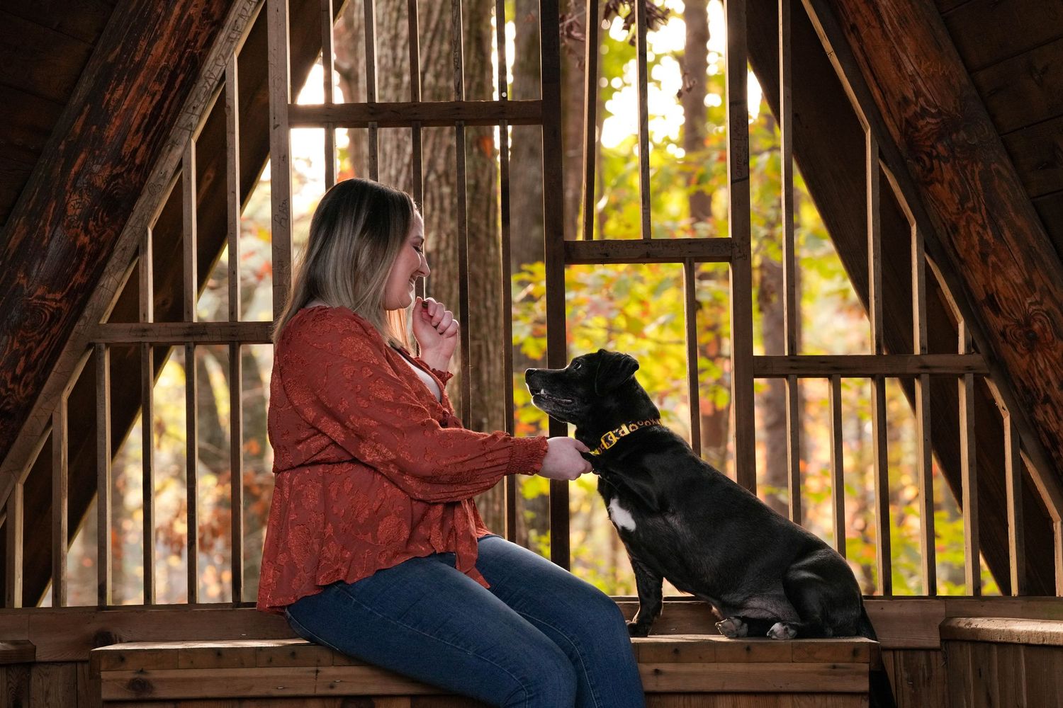 Katie Ziegler Photography. Huntsville, Alabama. Pet Photographer. Fall Pet Portraits
