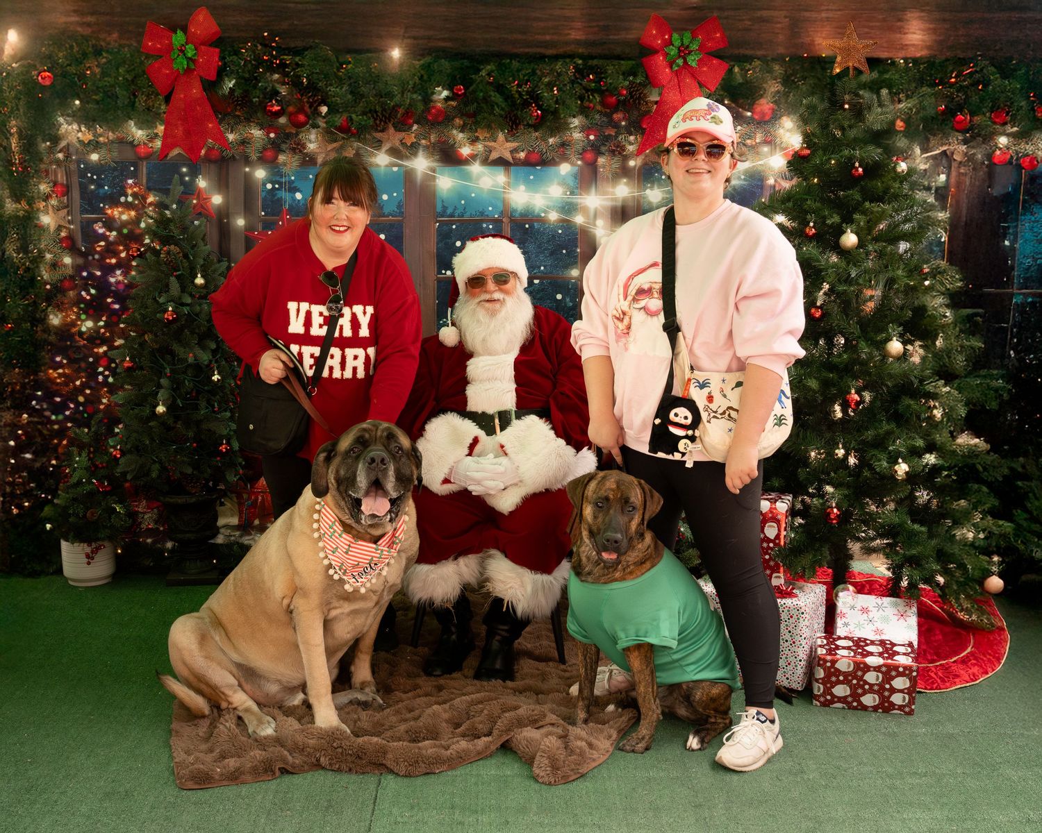 Pet Photos with Santa, Katie Ziegler Photography, a dog and their family came to see Santa, Huntsville, AL, Midcity District