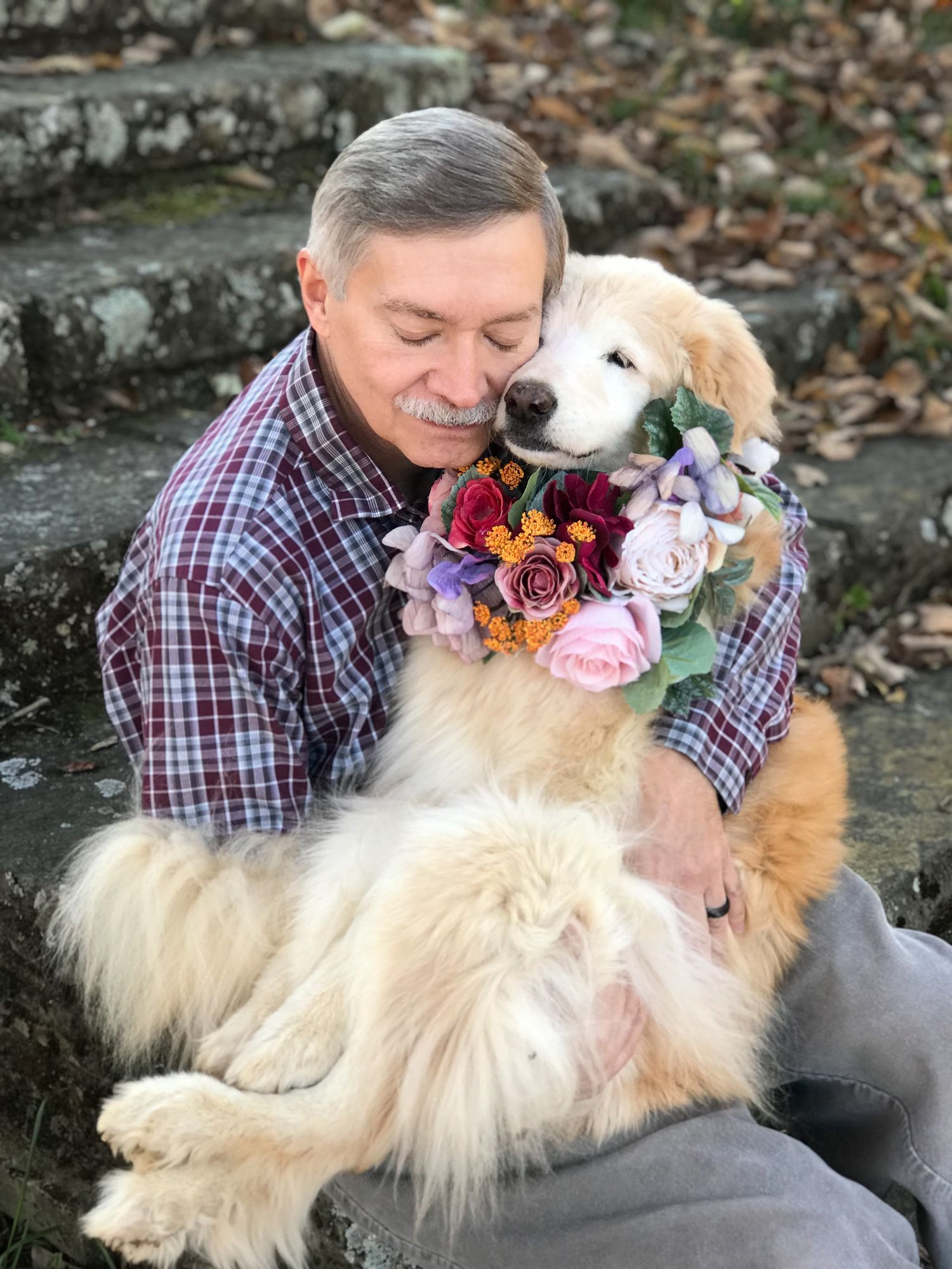 Katie Ziegler Photography. Huntsville, Alabama. Pet Photographer. Golden Retriever.