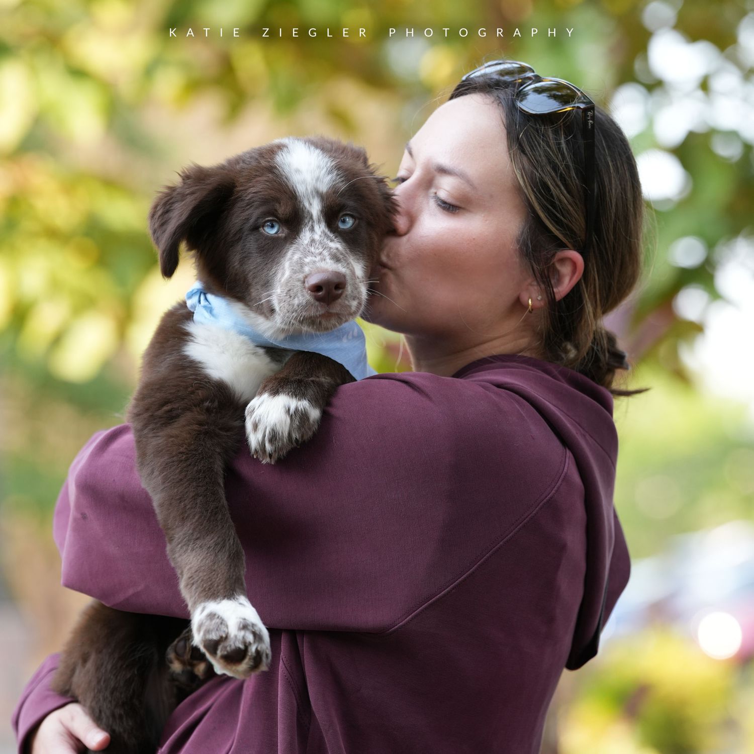 Katie Ziegler Photography. Huntsville, Alabama. Pet Photographer. Supporting local rescues and shelters. Homeless pet Photographer.