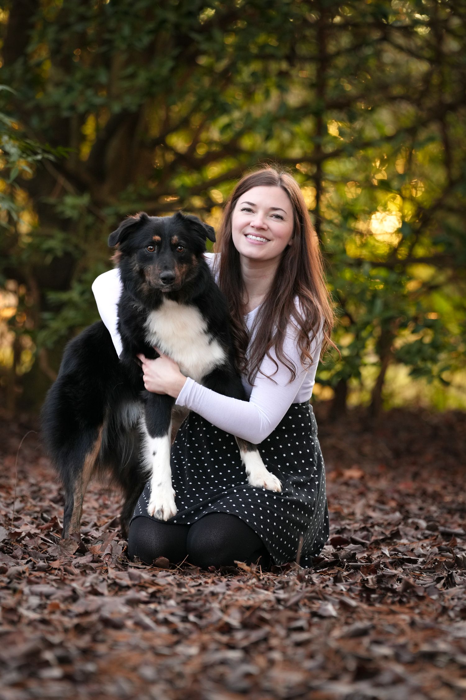 Katie Ziegler Photography. Huntsville, Alabama. Pet Photographer. Supporting local rescues and shelters. Homeless pet Photographer.