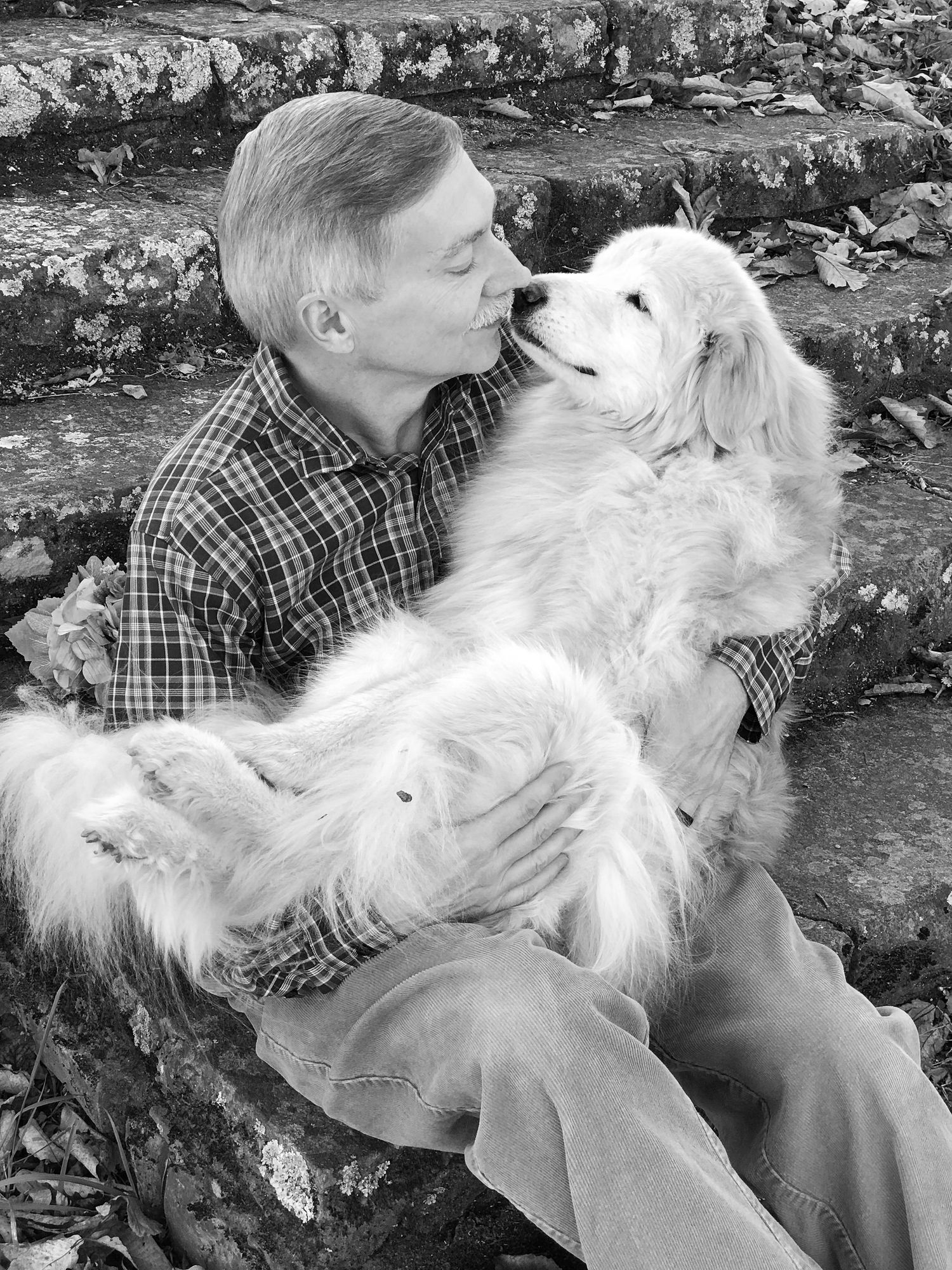 Katie Ziegler Photography. Huntsville, Alabama. Pet Photographer.