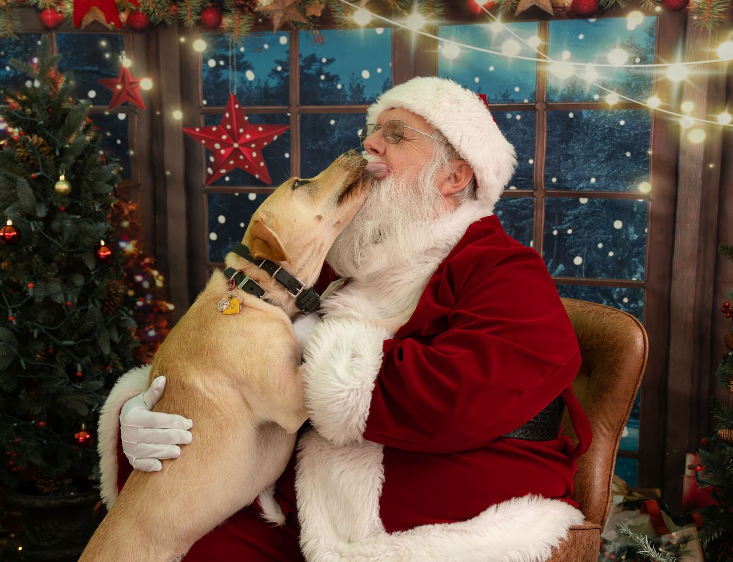 Pet Photos with Santa, Katie Ziegler Photography, a dog came to see Santa, Huntsville, AL, Midcity District