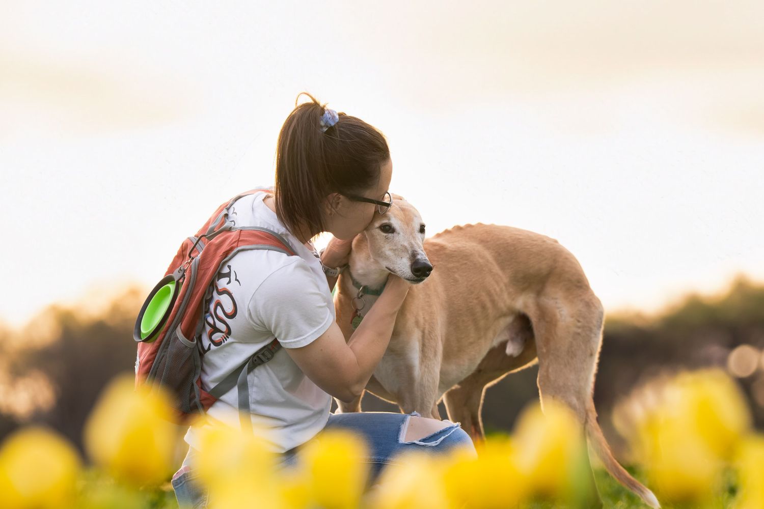 Katie Ziegler Photography. Huntsville, Alabama. Pet & Family Photographer. Tulip fields at the Hubert Family Farms. Cute Dog Photos.