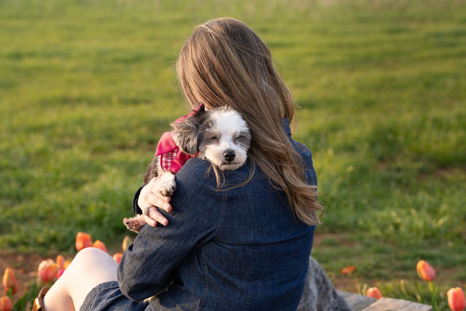 Katie Ziegler Photography. Huntsville, Alabama. Pet Photographer. senior pet portraits